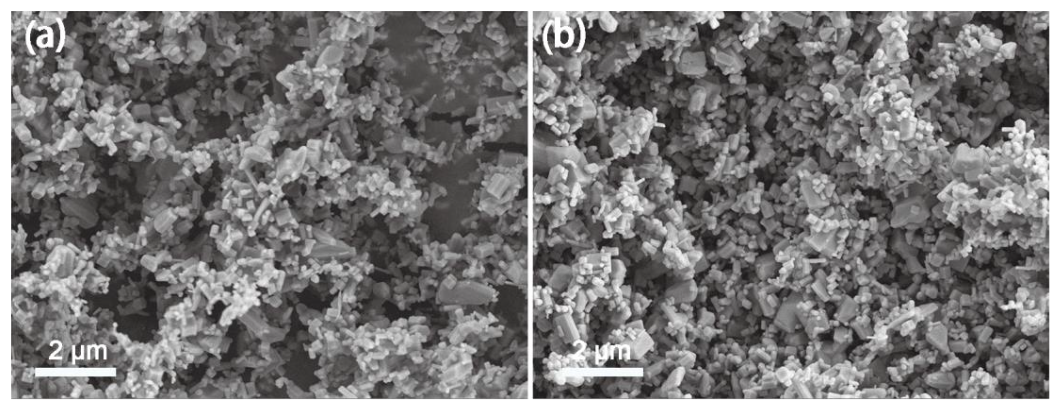 Nanomaterials 13 00046 g003