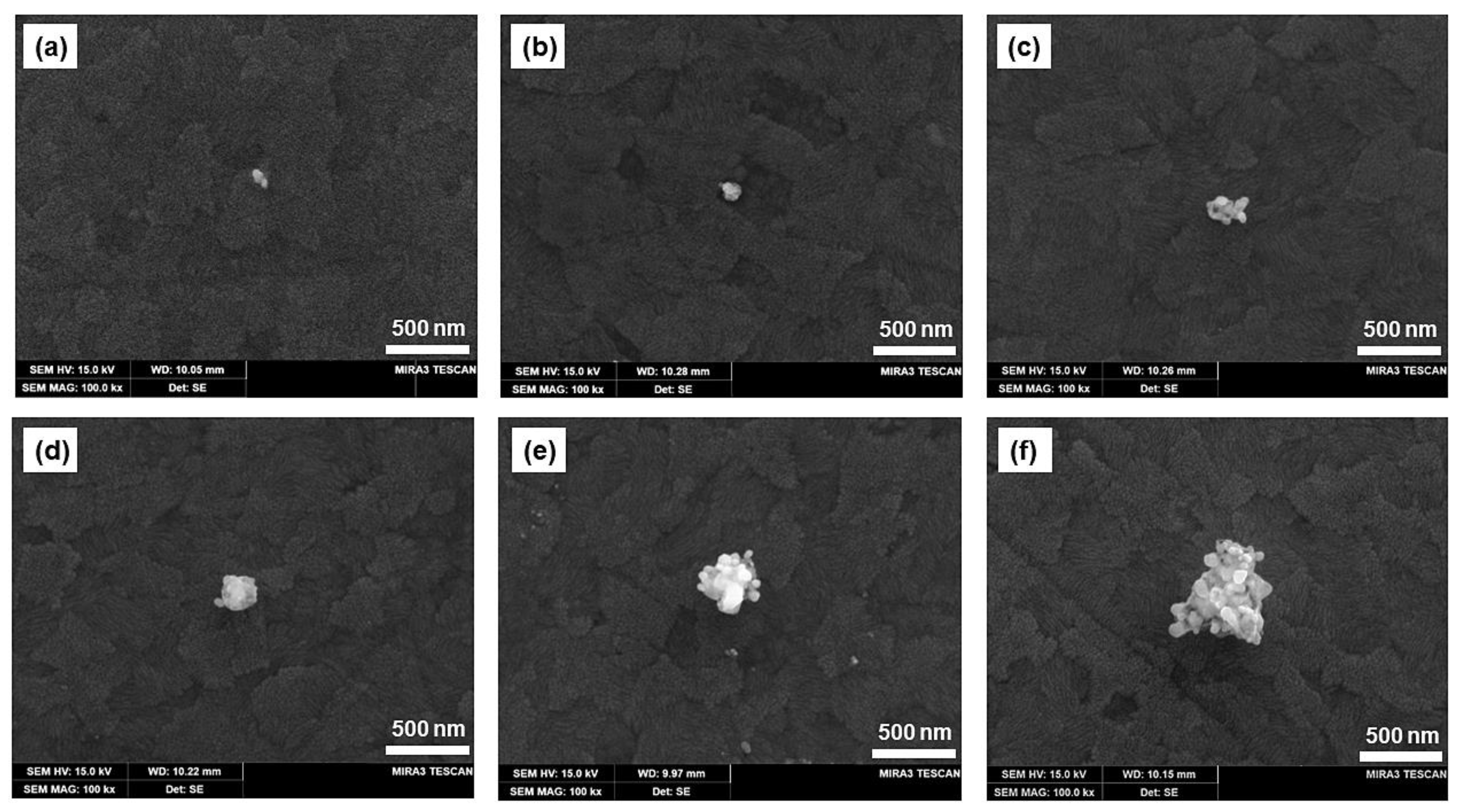 Nanomaterials 13 00048 g005