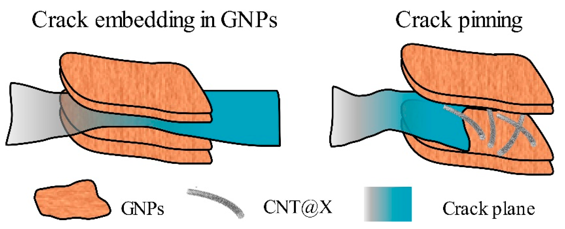 Nanomaterials 13 00052 g009