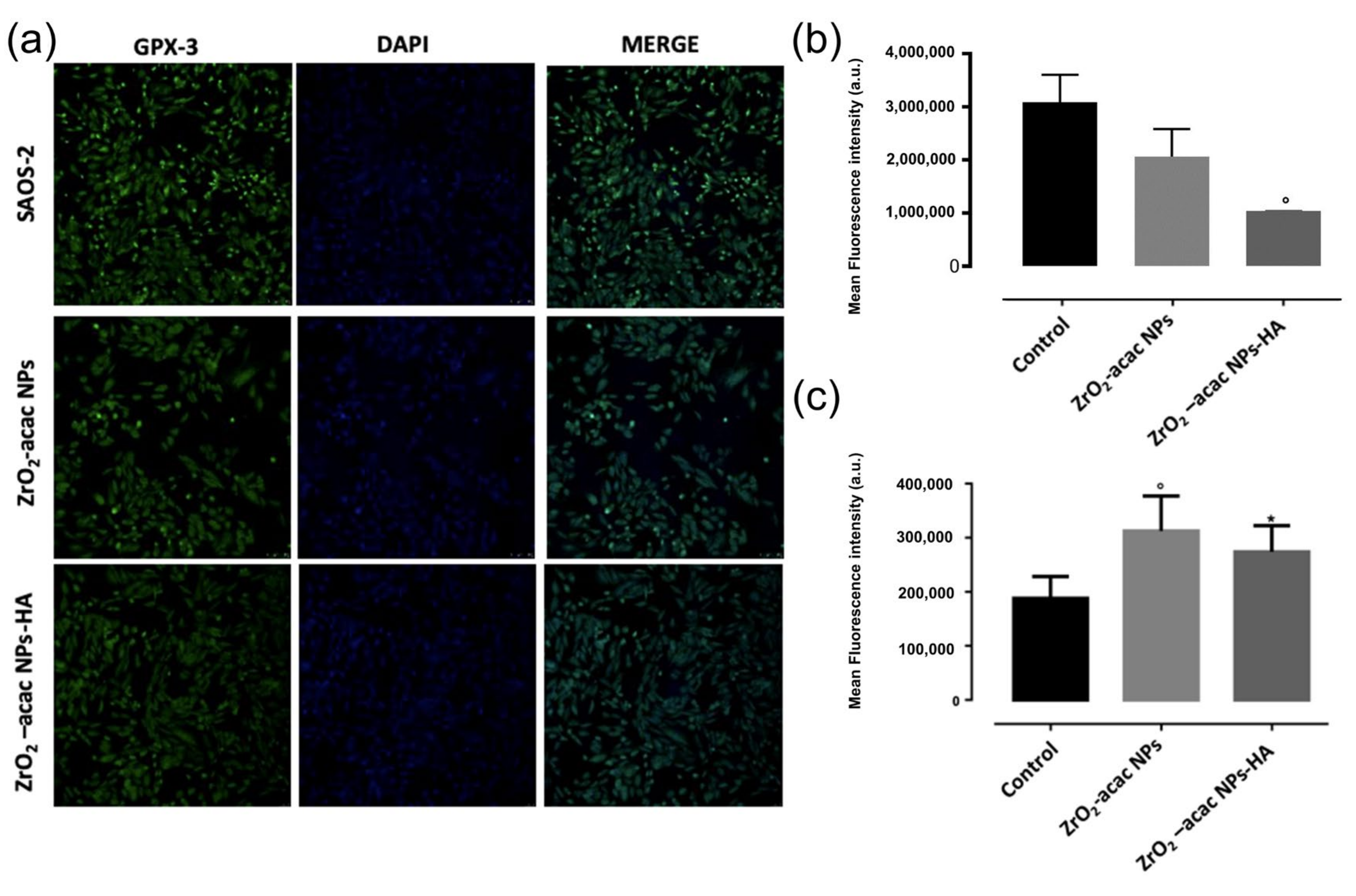 Nanomaterials 13 00054 g007 Nanomaterials 13 00054 g007