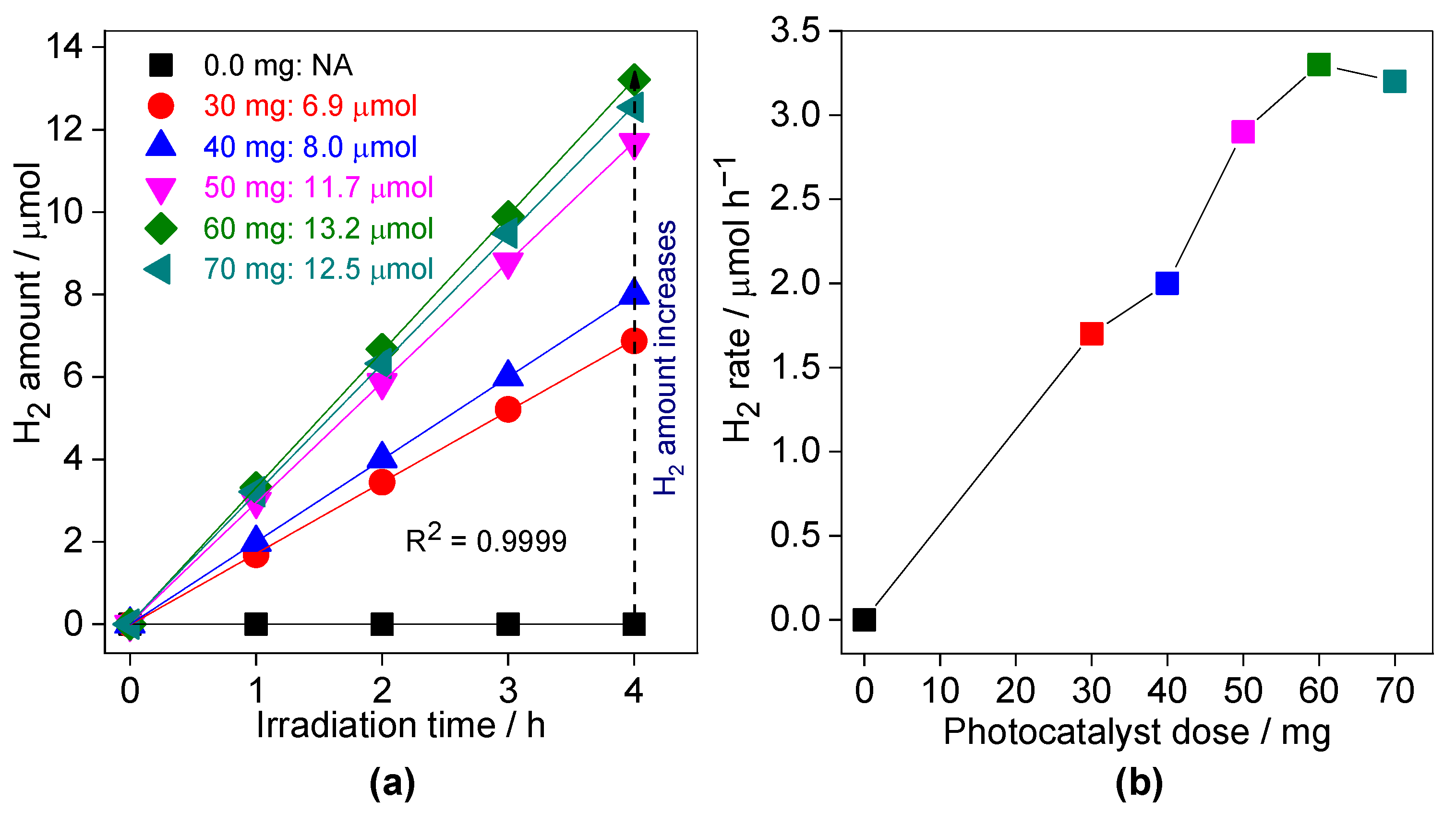 Nanomaterials 13 00062 g011