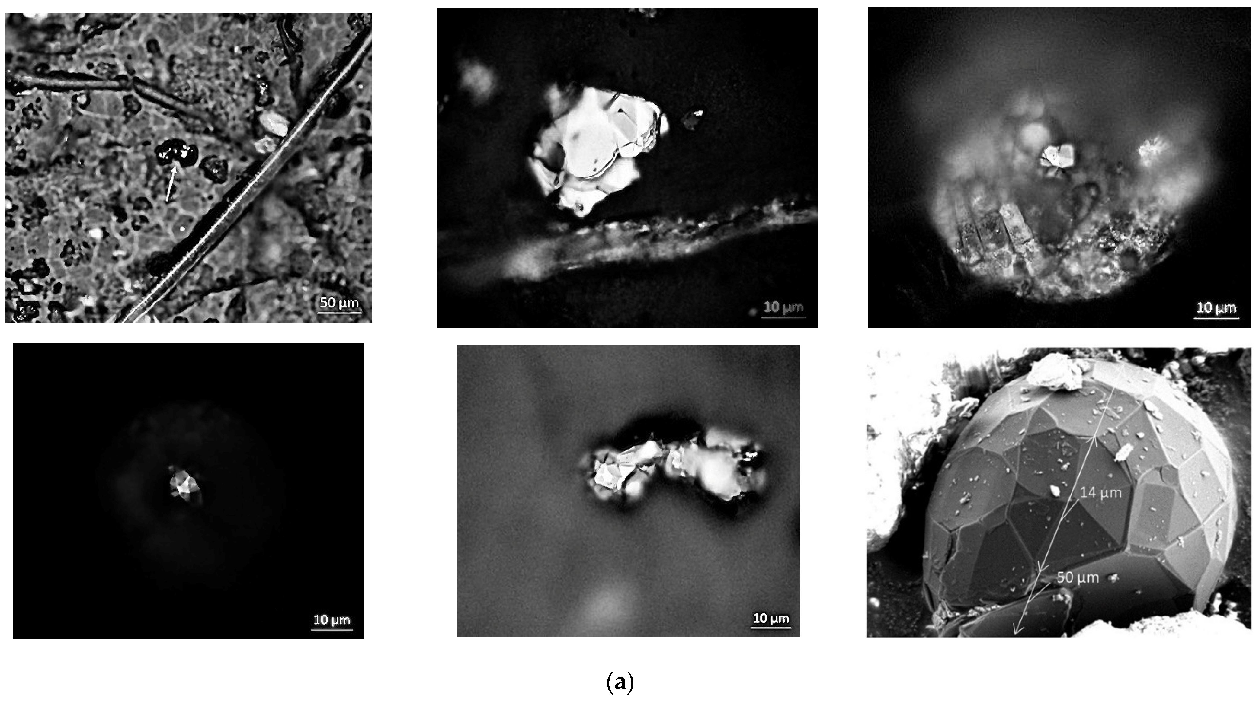 Nanomaterials 13 00073 g002a
