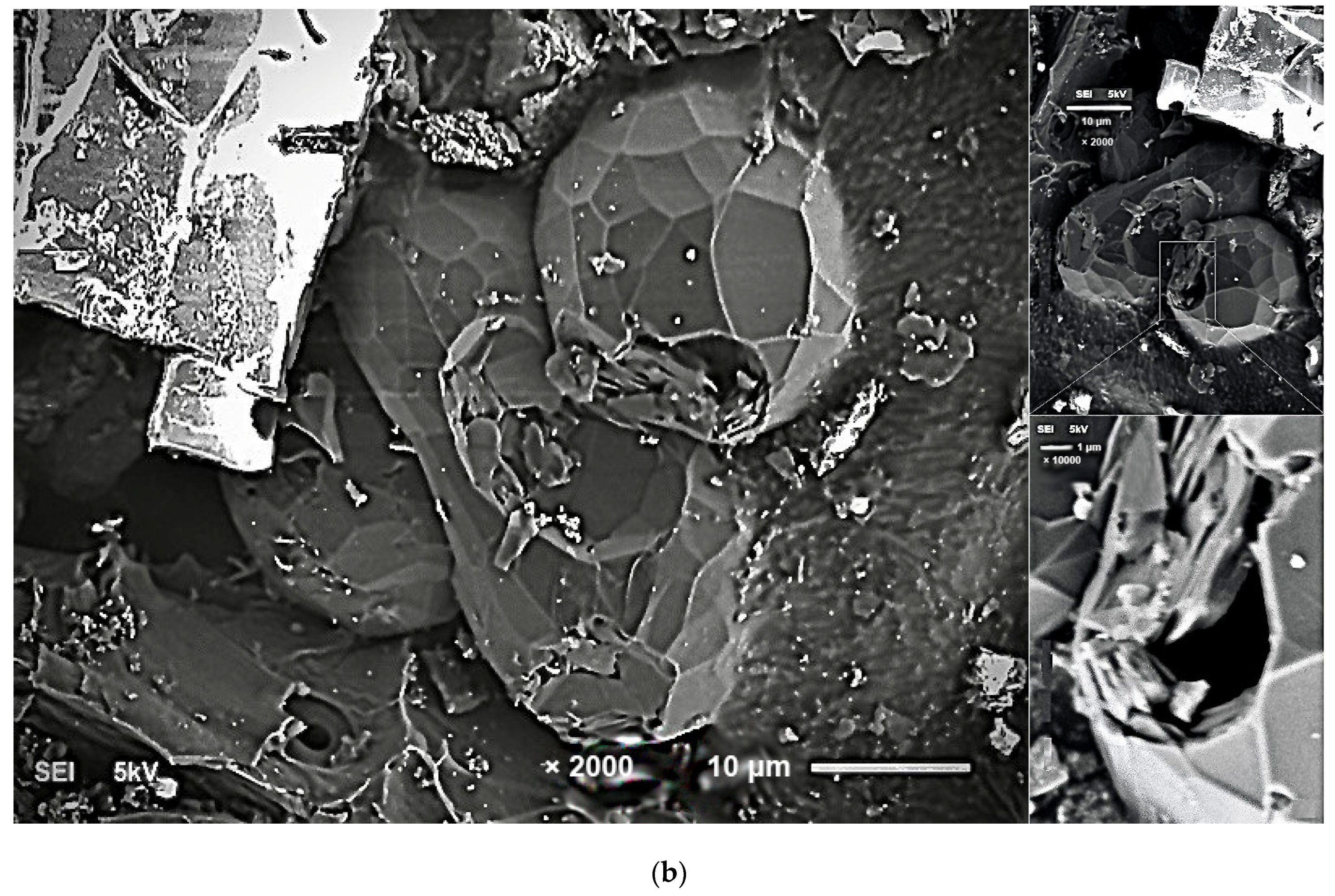 Nanomaterials 13 00073 g002b