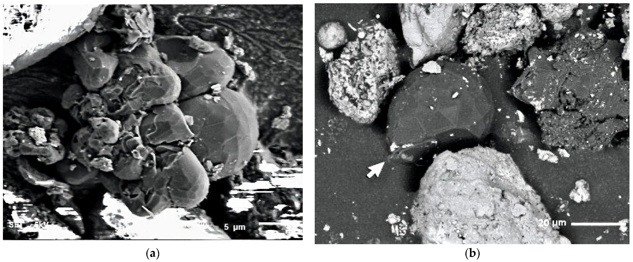 Nanomaterials 13 00073 g003