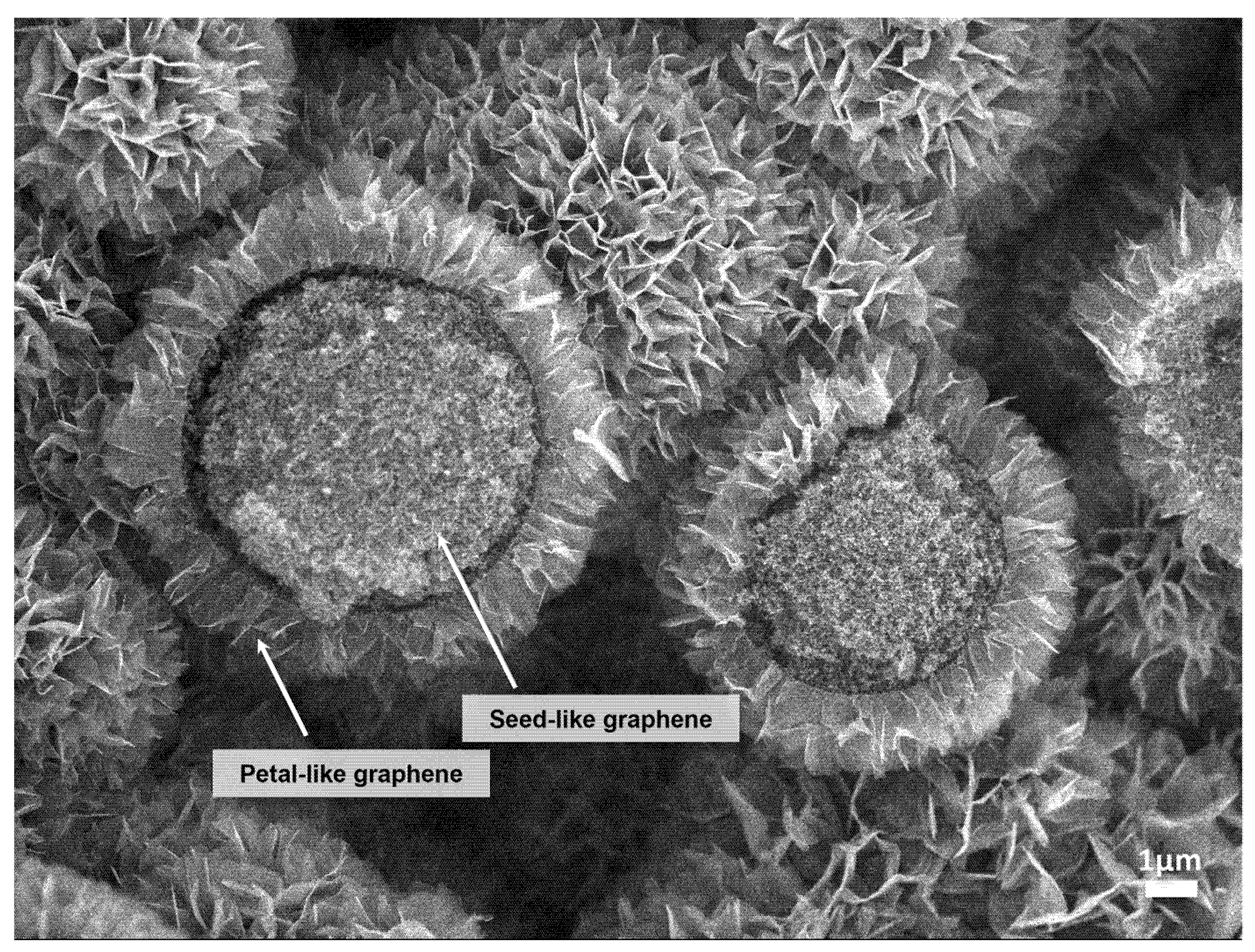 Nanomaterials 13 00076 g001