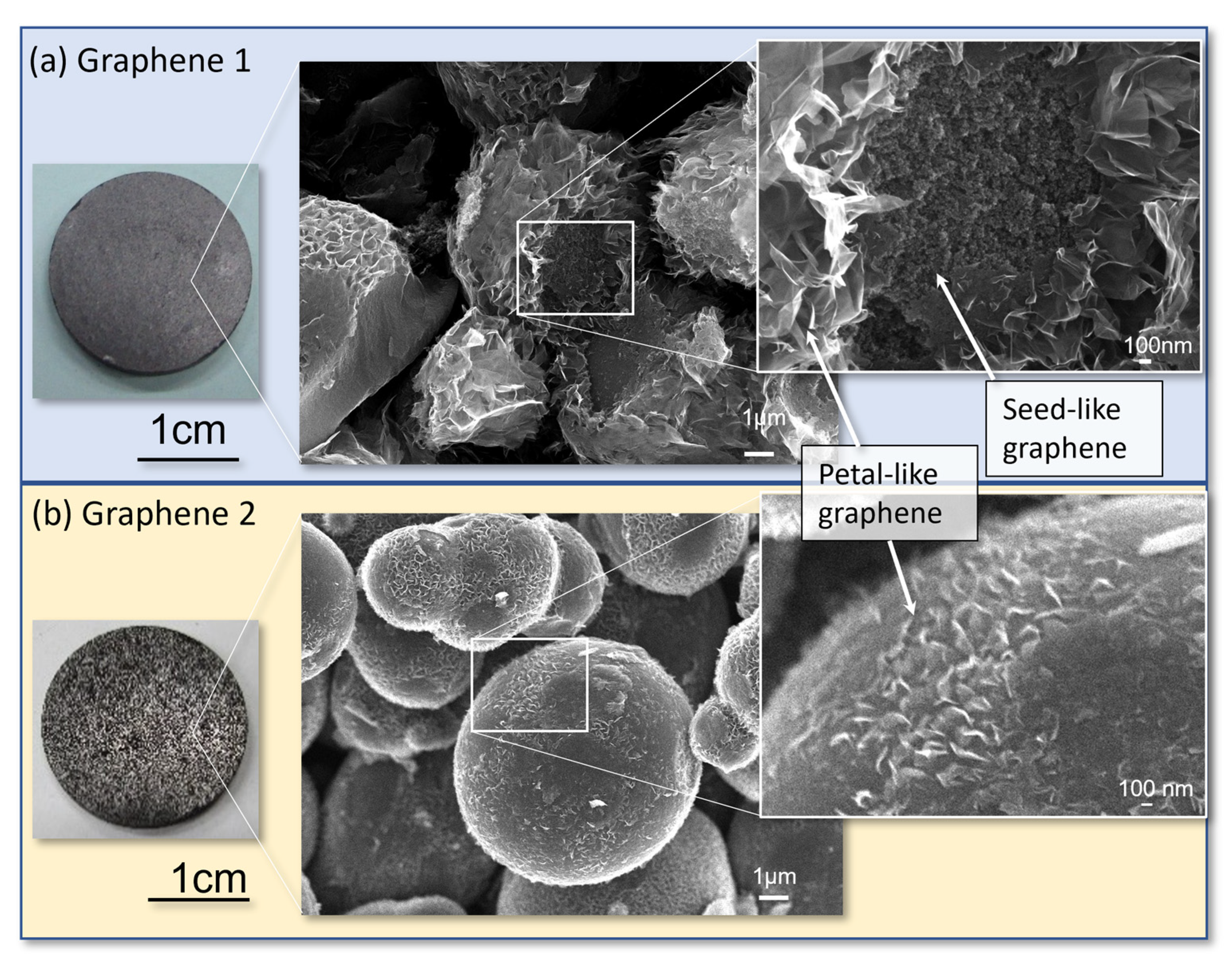 Nanomaterials 13 00076 g002