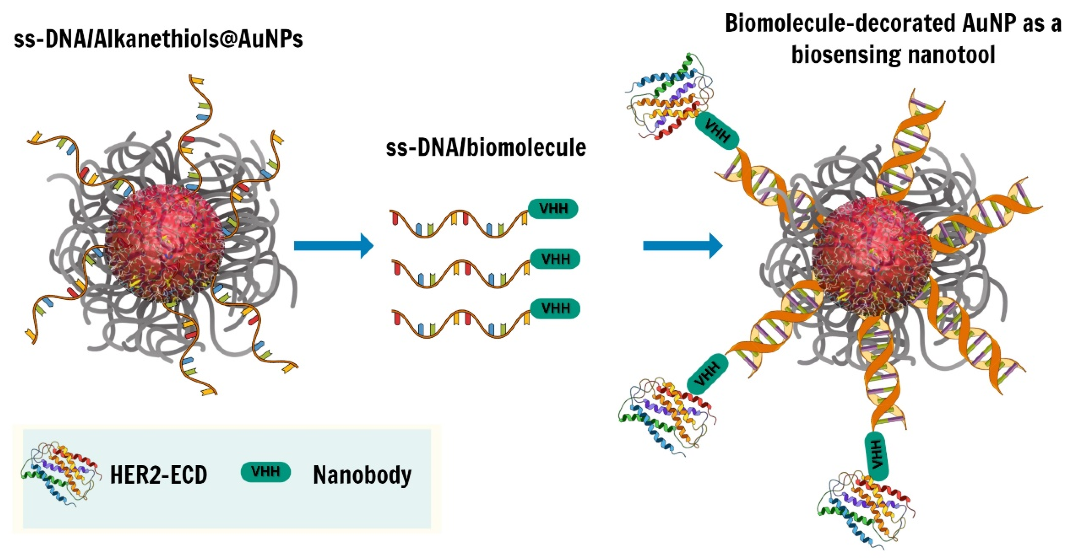 Nanomaterials 13 00078 g001 Nanomaterials 13 00078 g001