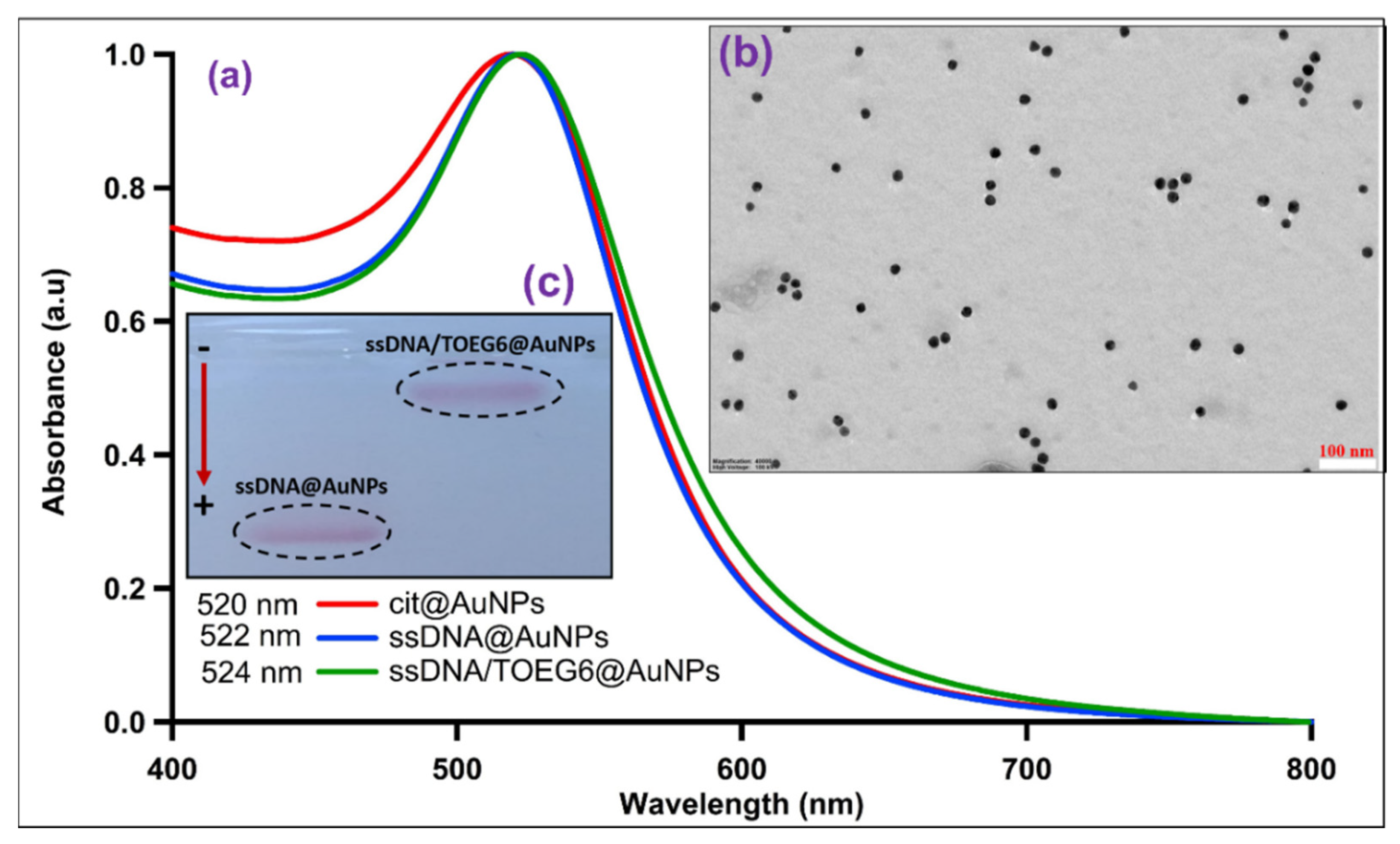 Nanomaterials 13 00078 g003 Nanomaterials 13 00078 g003