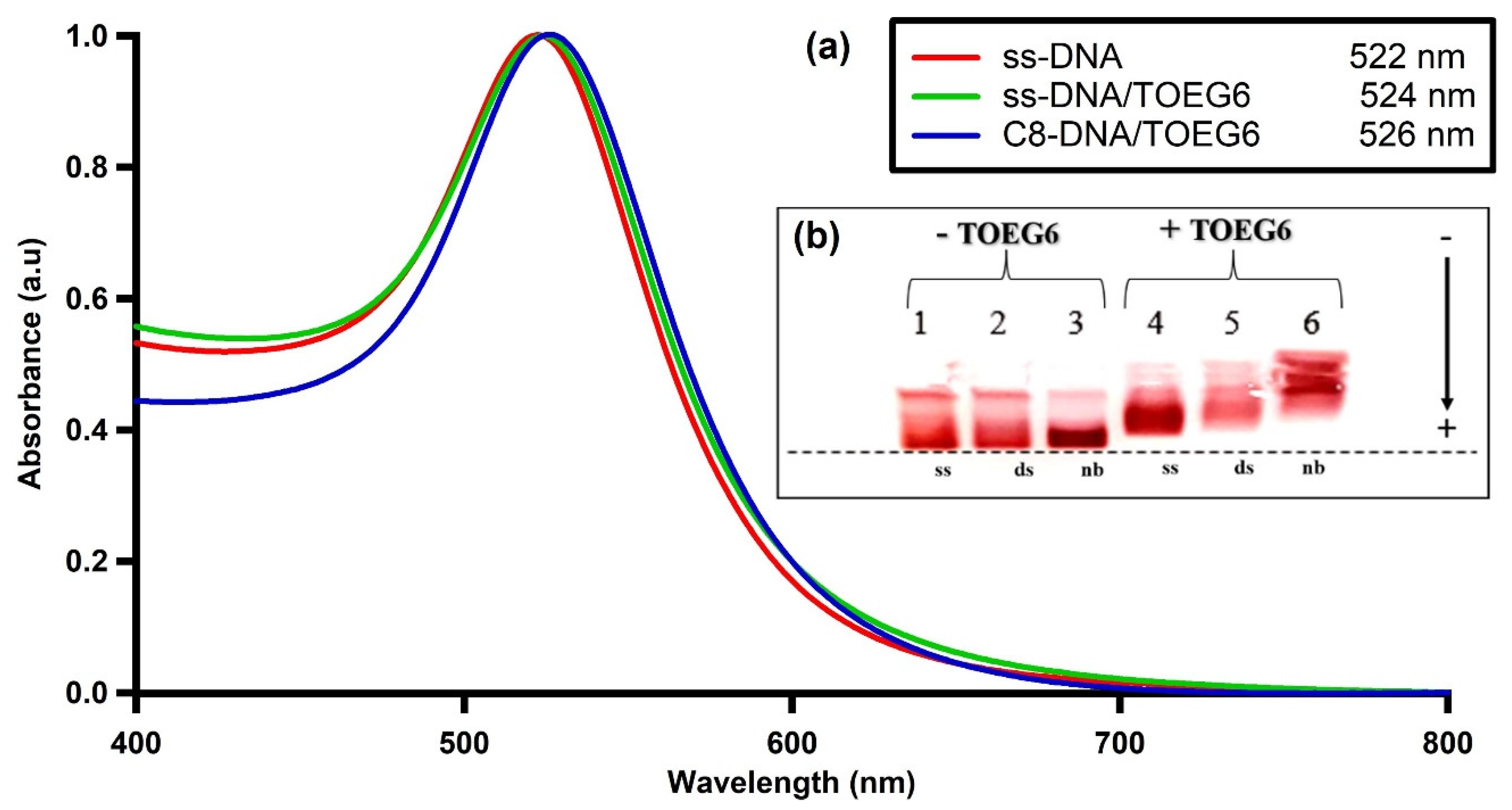 Nanomaterials 13 00078 g005 Nanomaterials 13 00078 g005