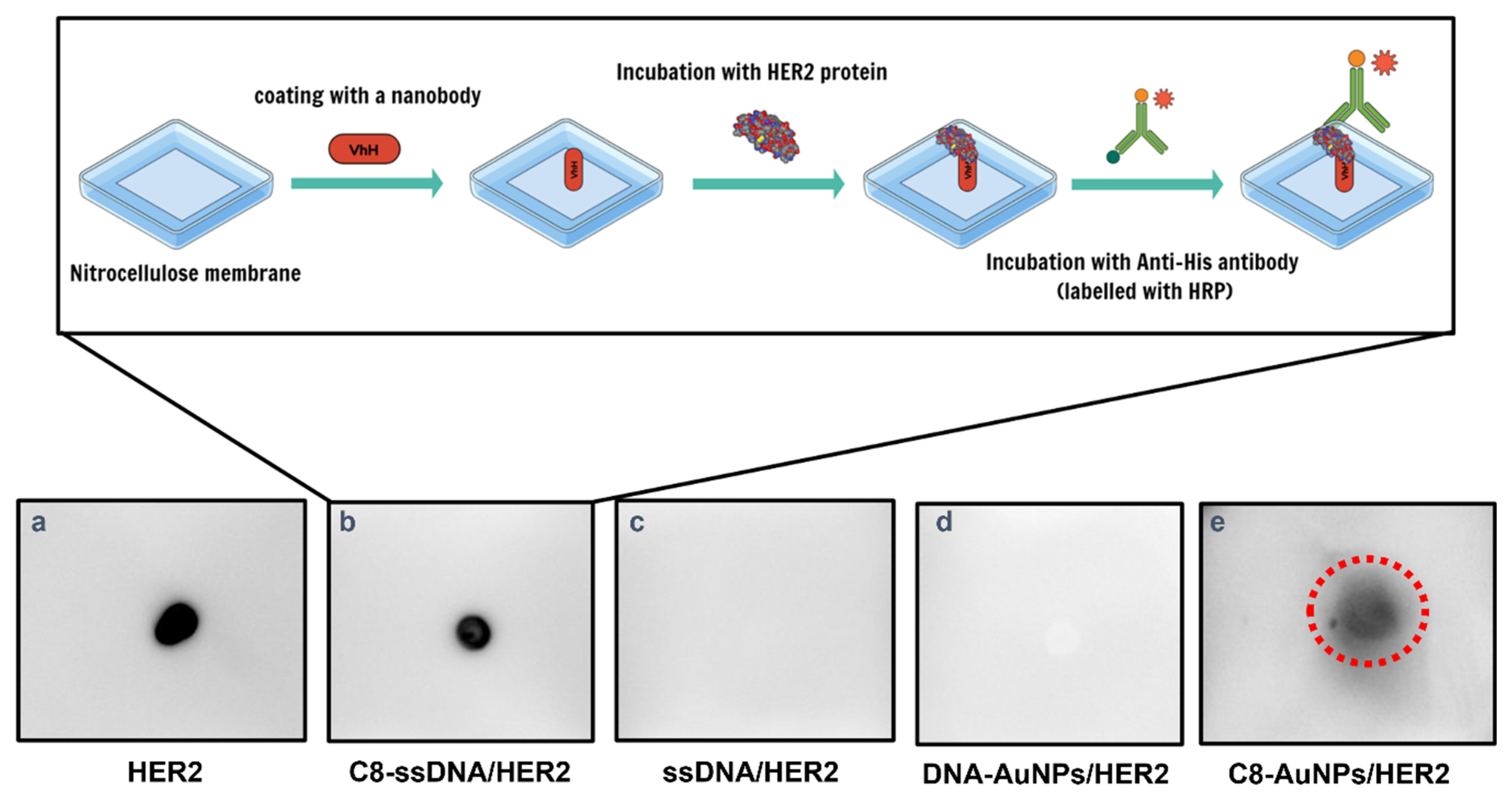 Nanomaterials 13 00078 g007 Nanomaterials 13 00078 g007
