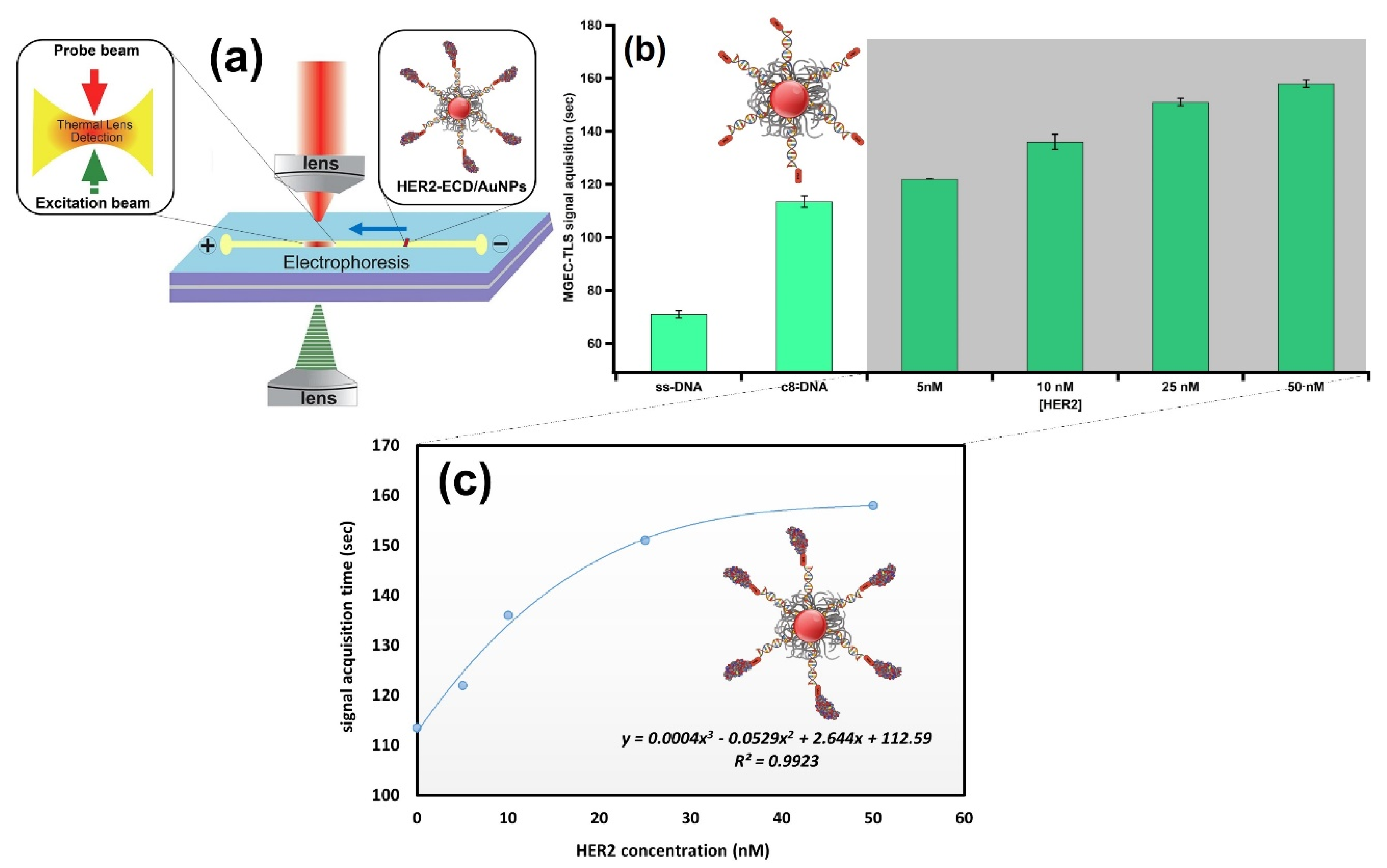 Nanomaterials 13 00078 g008 Nanomaterials 13 00078 g008