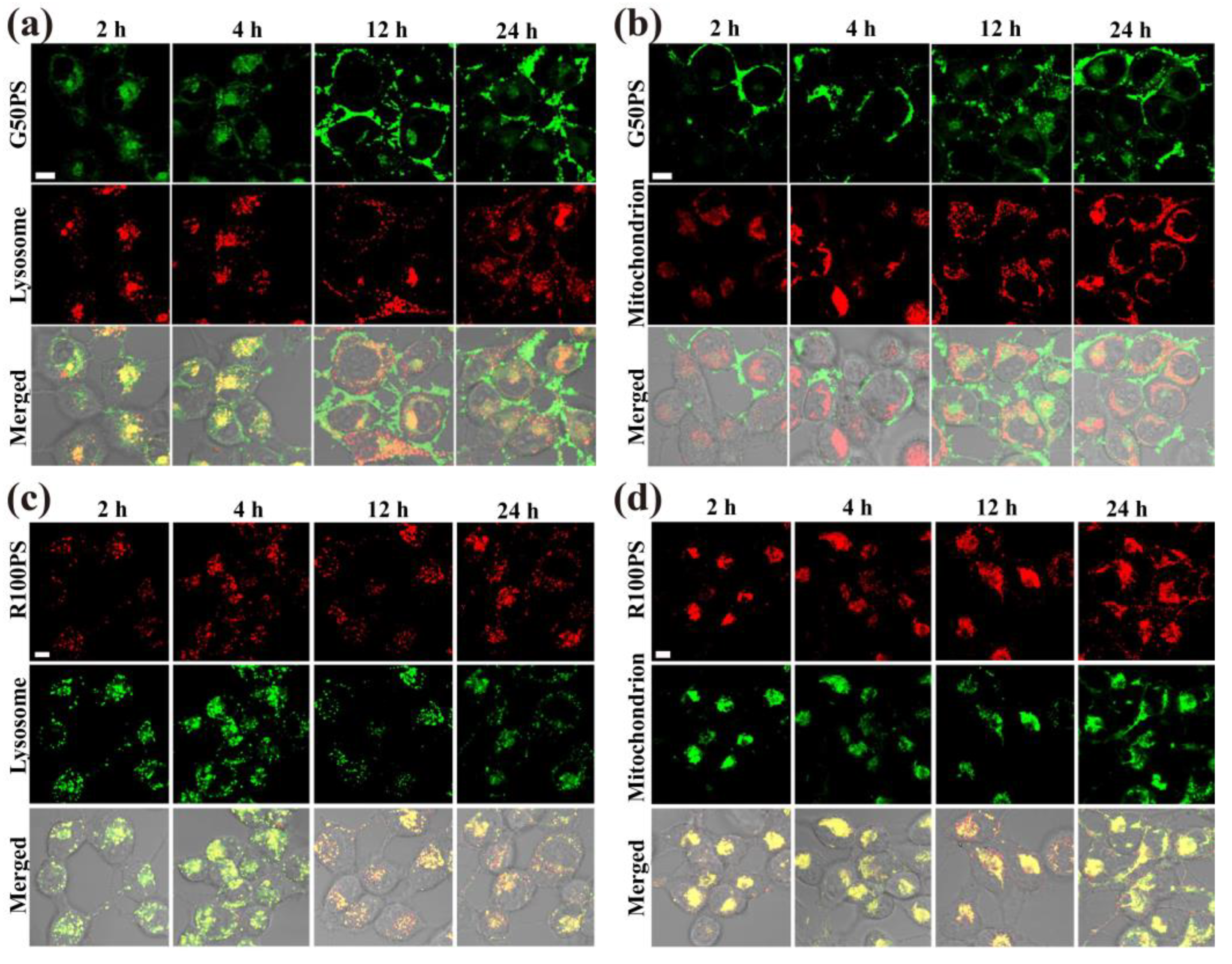 Nanomaterials 13 00084 g006