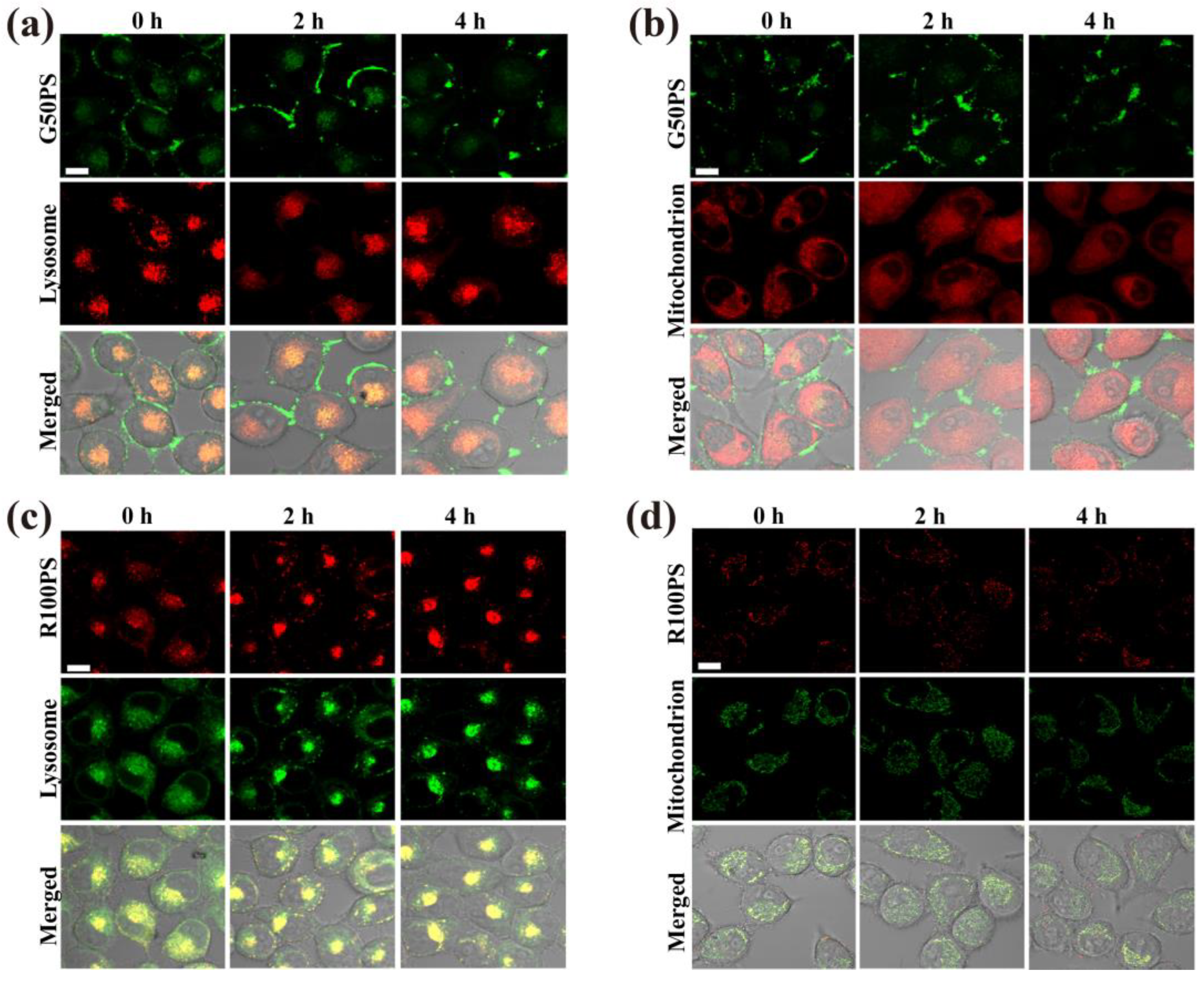 Nanomaterials 13 00084 g009