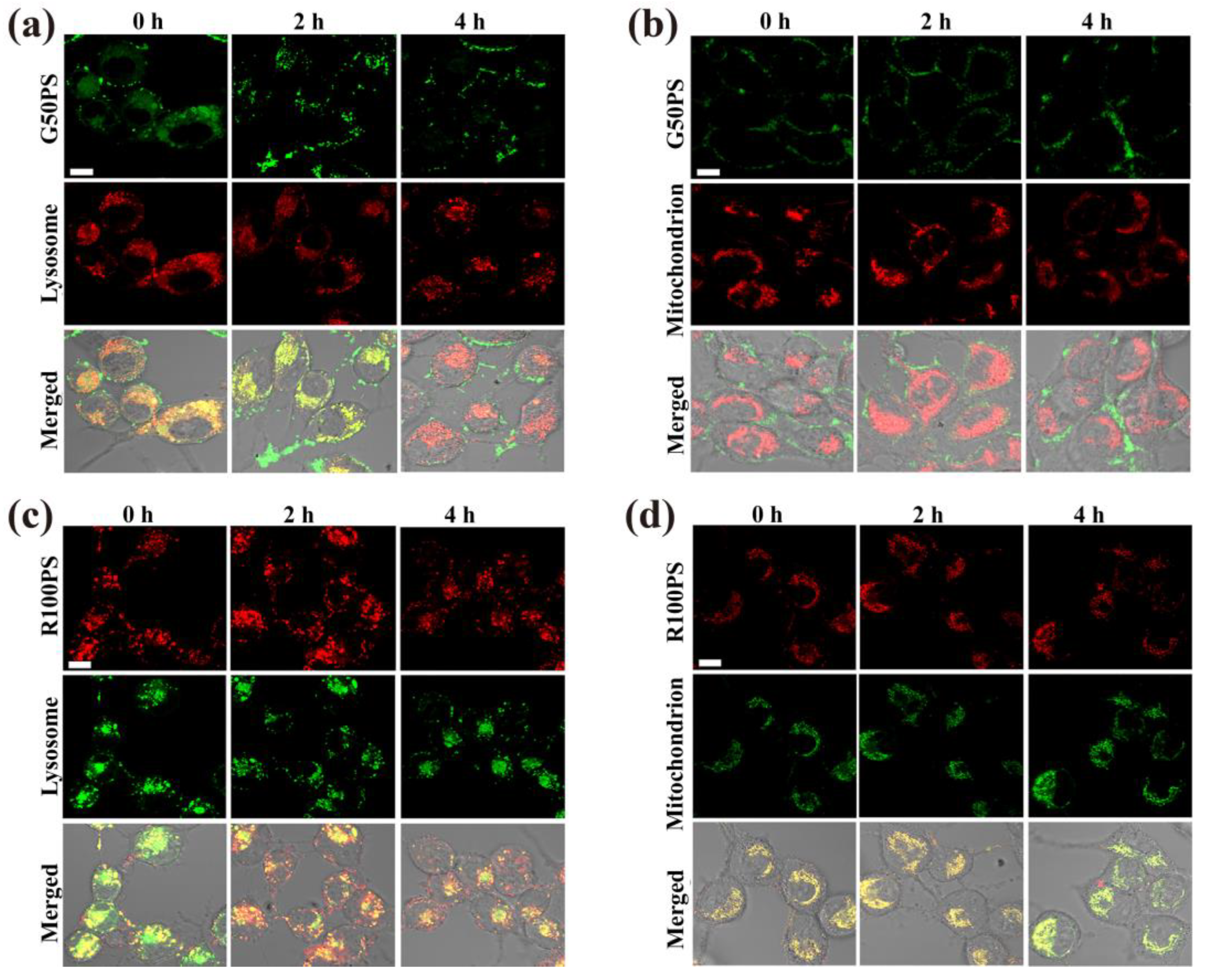 Nanomaterials 13 00084 g010