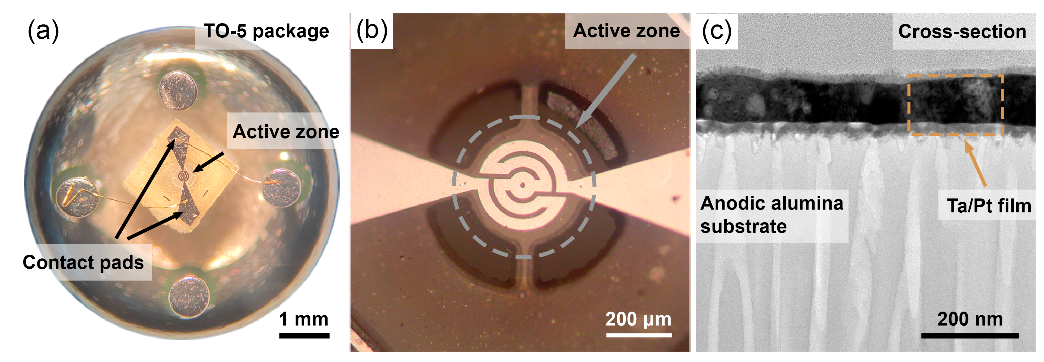 Nanomaterials 13 00094 g001 Nanomaterials 13 00094 g001