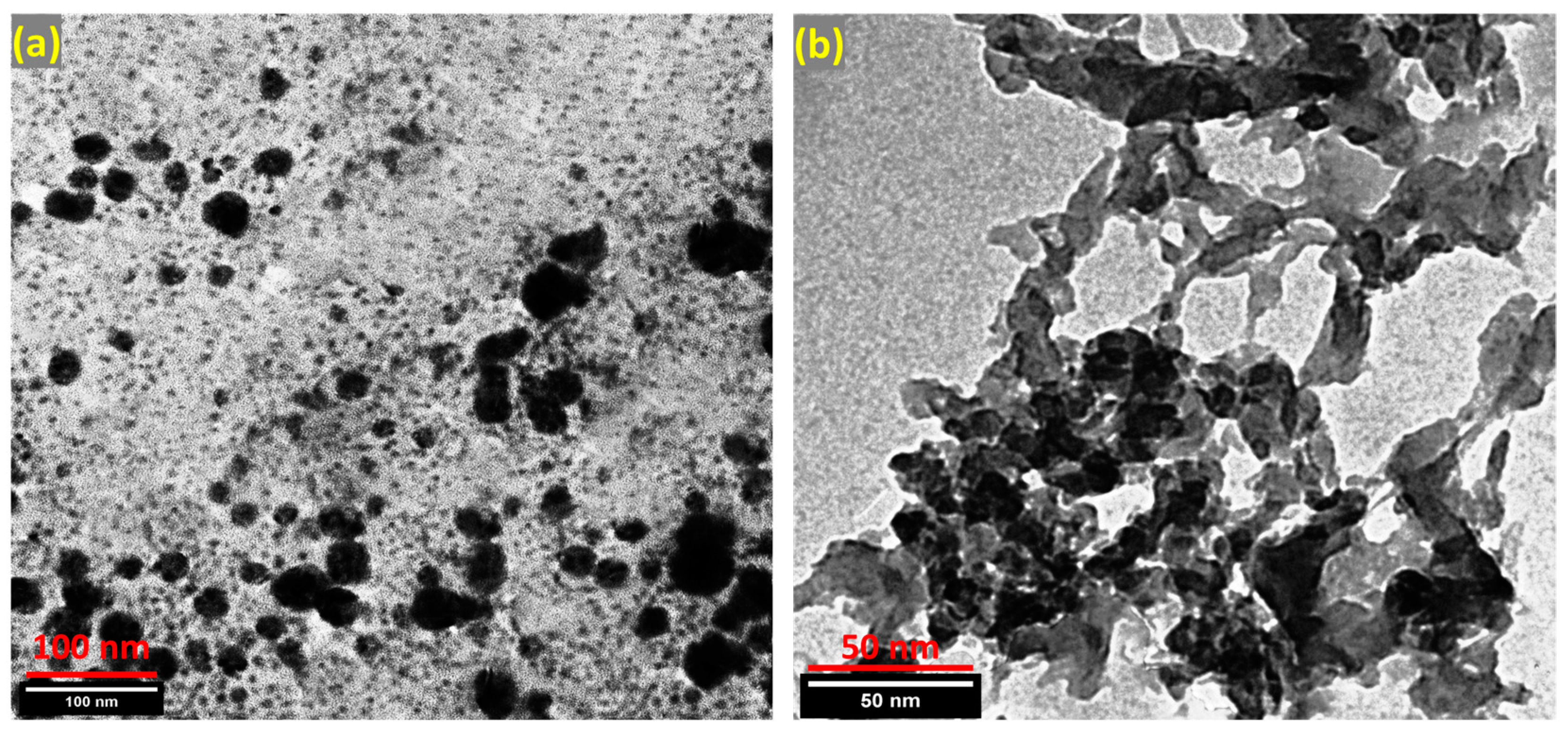 Nanomaterials 13 00097 g003 Nanomaterials 13 00097 g003