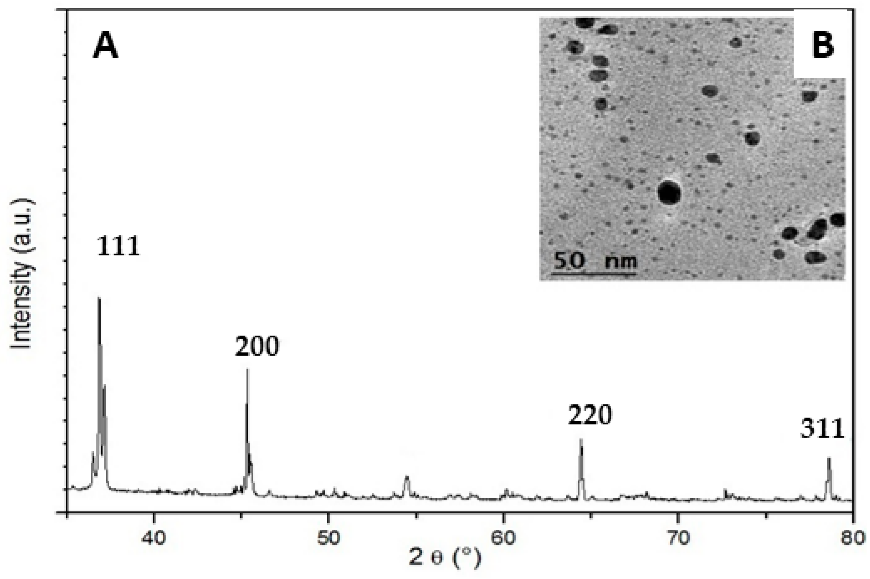 Nanomaterials 13 00100 g003 Nanomaterials 13 00100 g003
