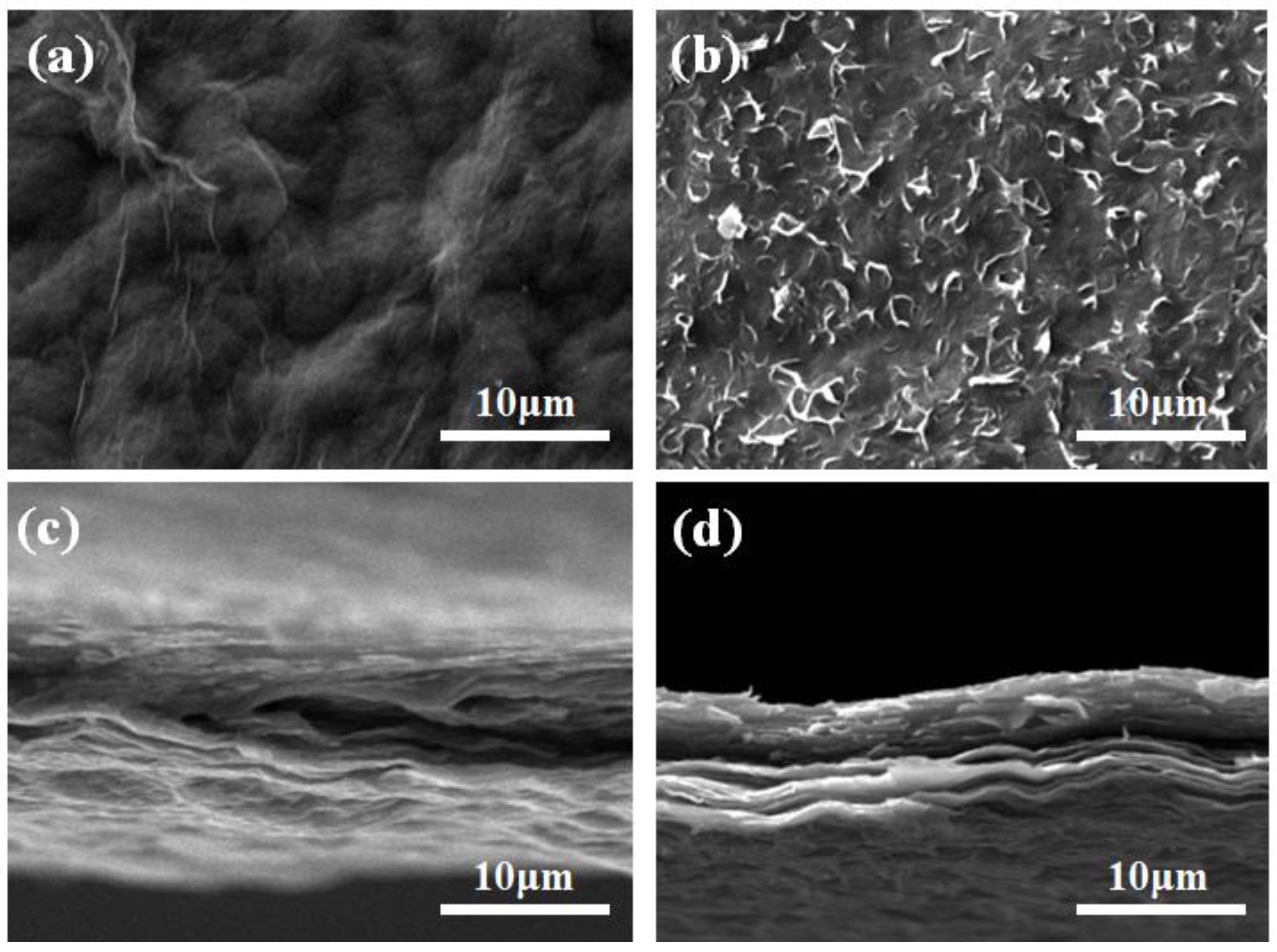 Nanomaterials 13 00103 g002 Nanomaterials 13 00103 g002