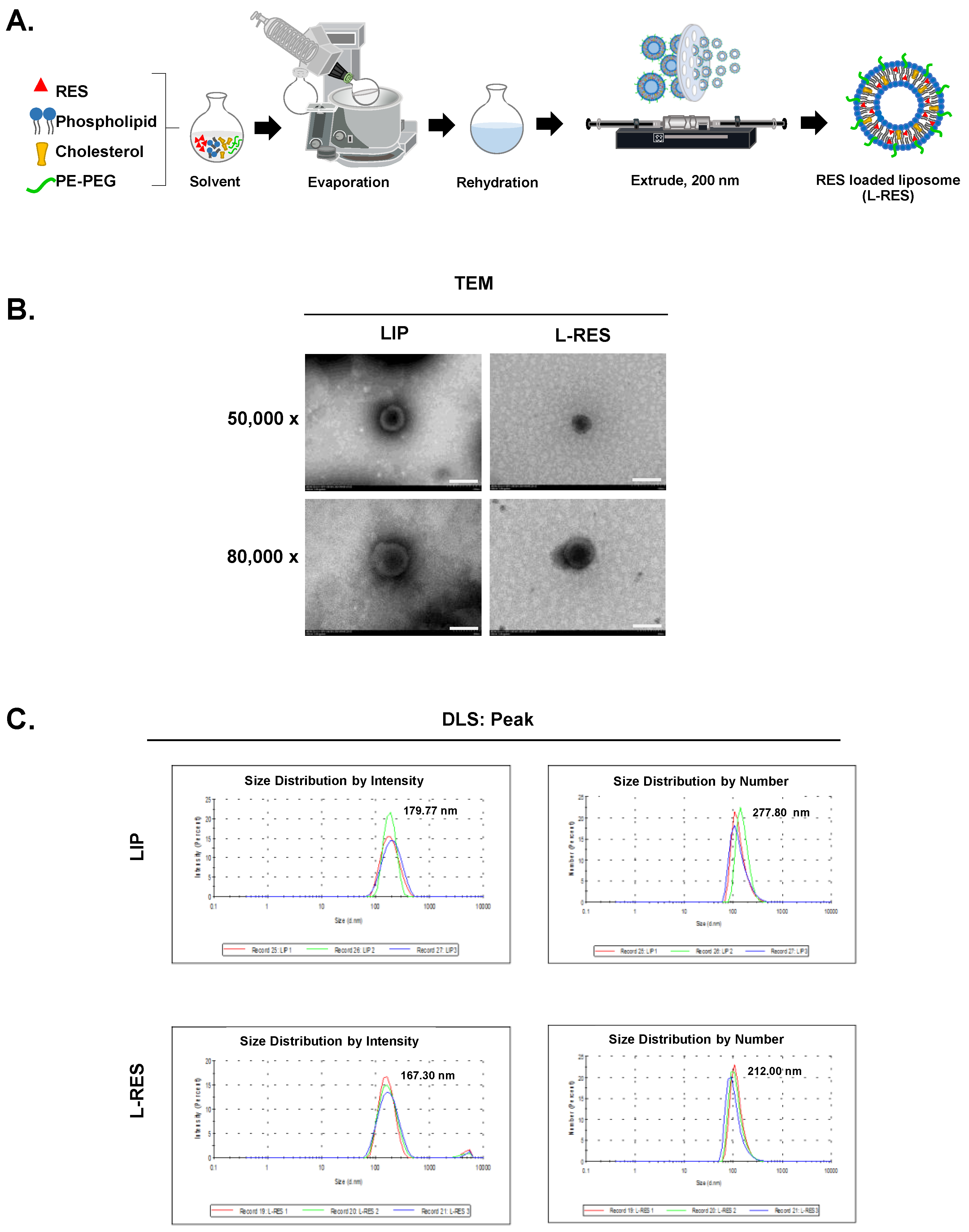 Nanomaterials 13 00107 g001 Nanomaterials 13 00107 g001