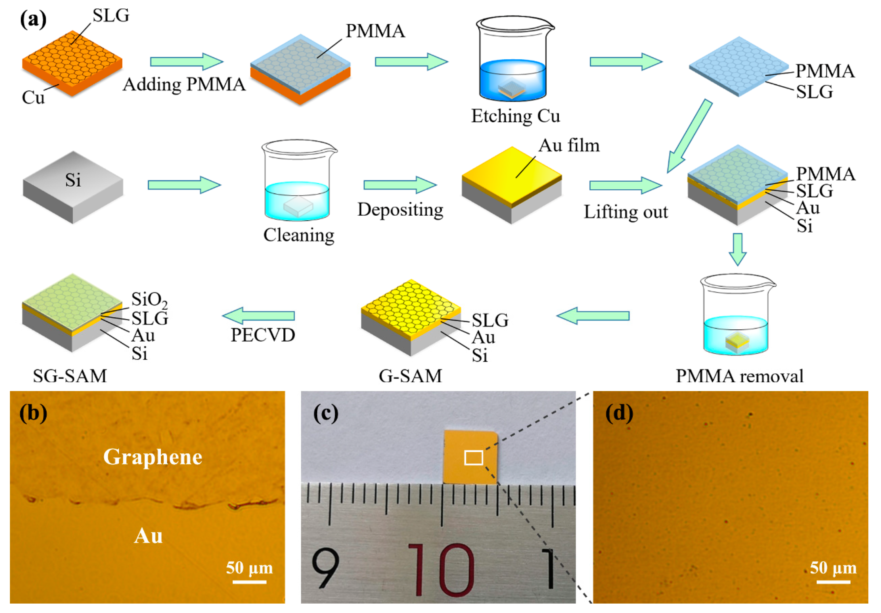 Nanomaterials 13 00111 g001 Nanomaterials 13 00111 g001