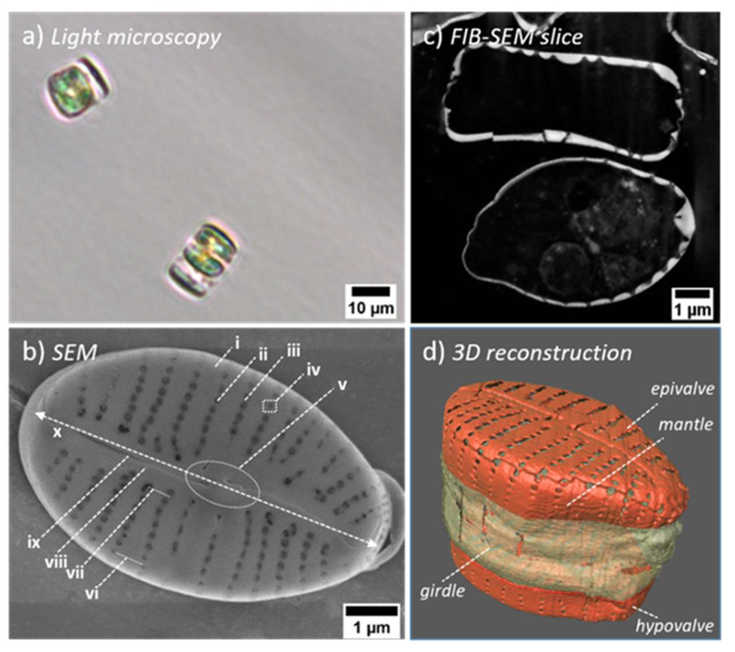 Nanomaterials 13 00113 g001 Nanomaterials 13 00113 g001