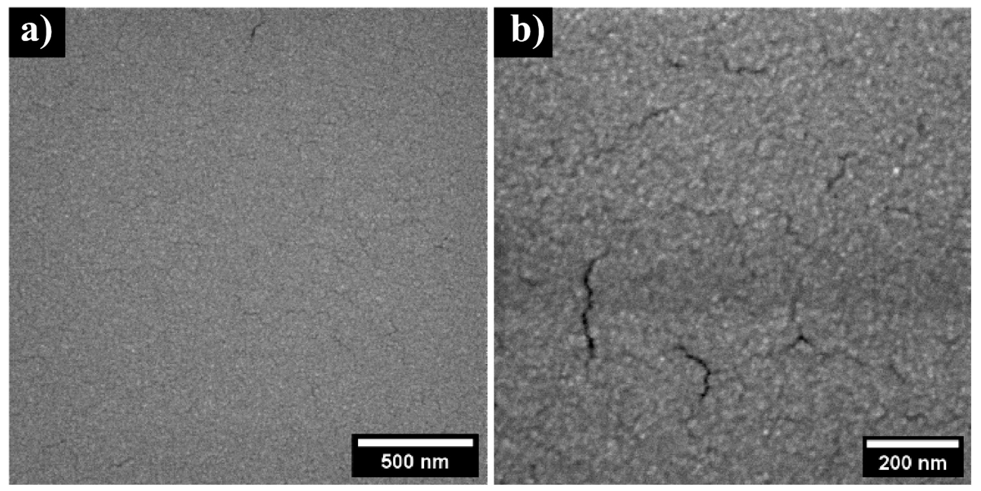 Nanomaterials 13 00120 g005
