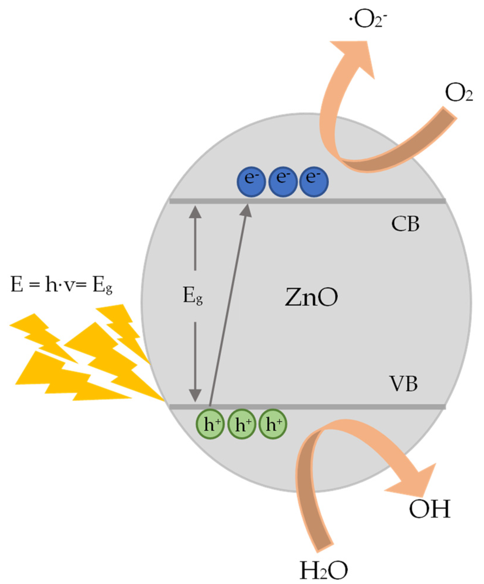 Nanomaterials 13 00122 g018