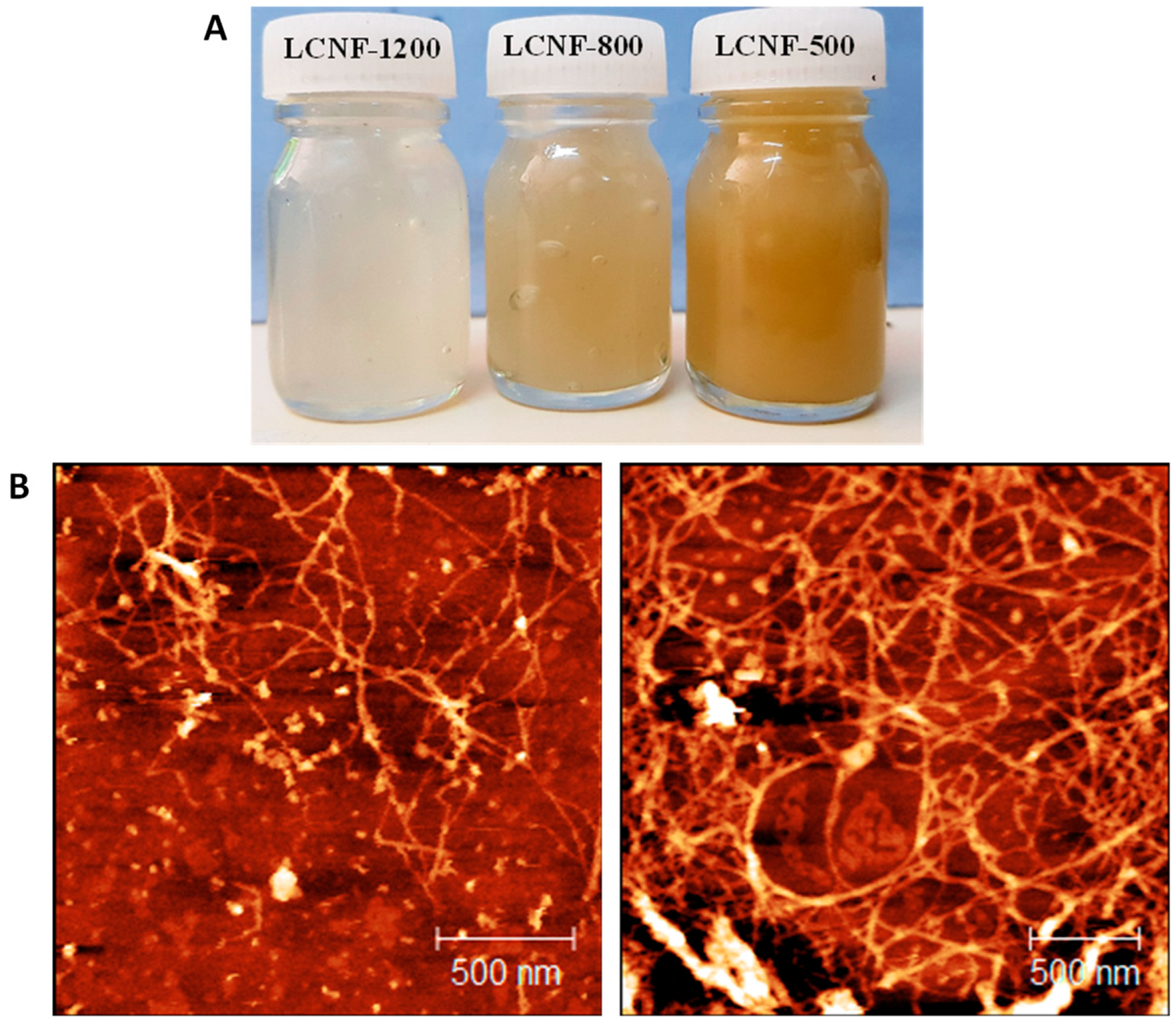 Nanomaterials 13 00126 g003 Nanomaterials 13 00126 g003
