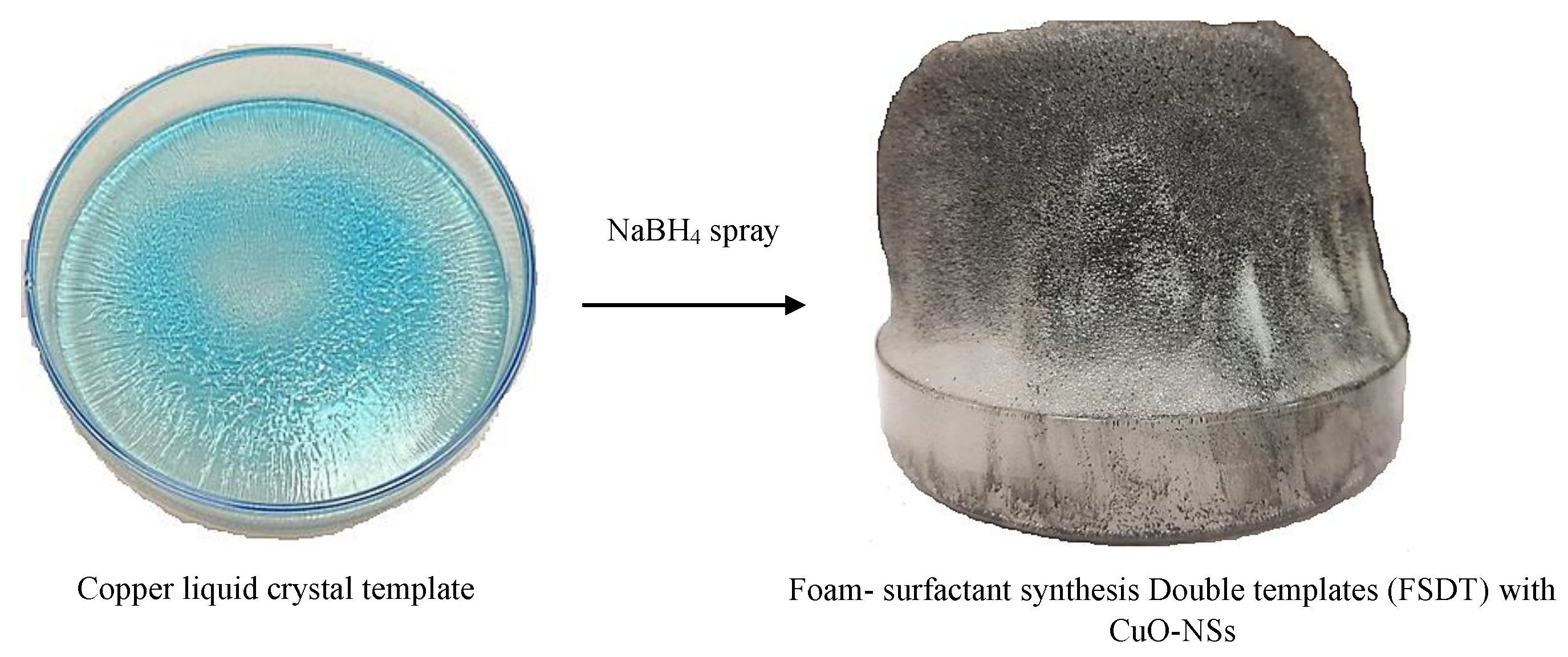 Nanomaterials 13 00129 sch001 Nanomaterials 13 00129 sch001