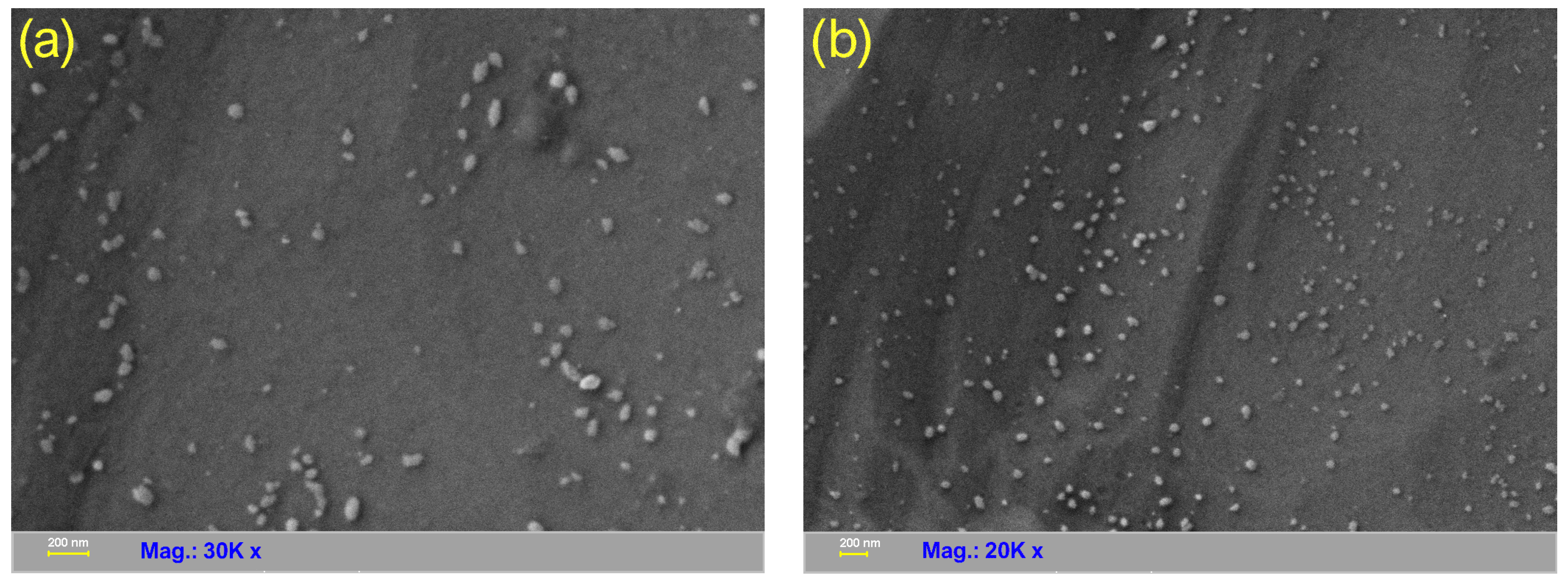 Nanomaterials 13 00131 g007