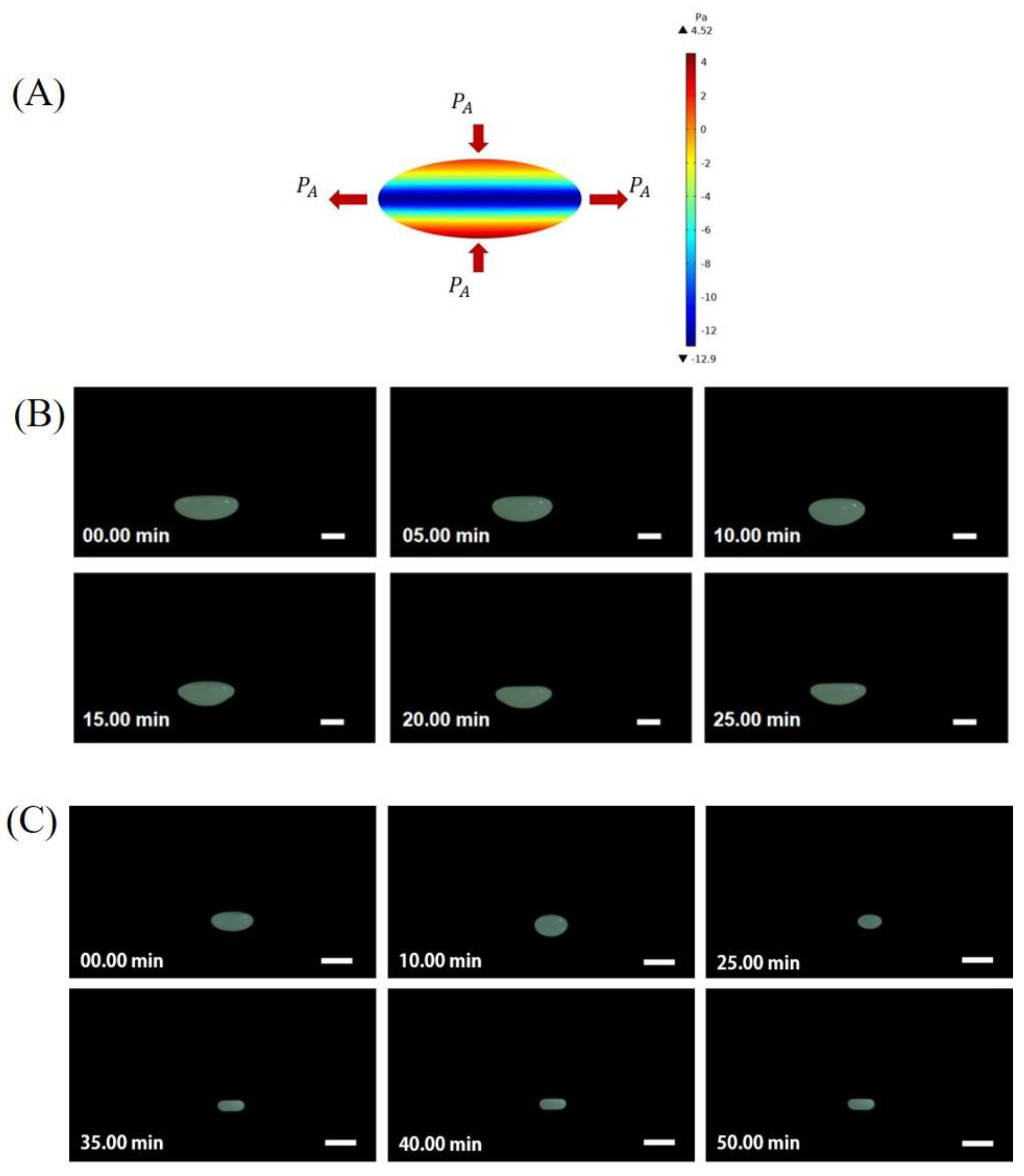 Nanomaterials 13 00133 g002 Nanomaterials 13 00133 g002