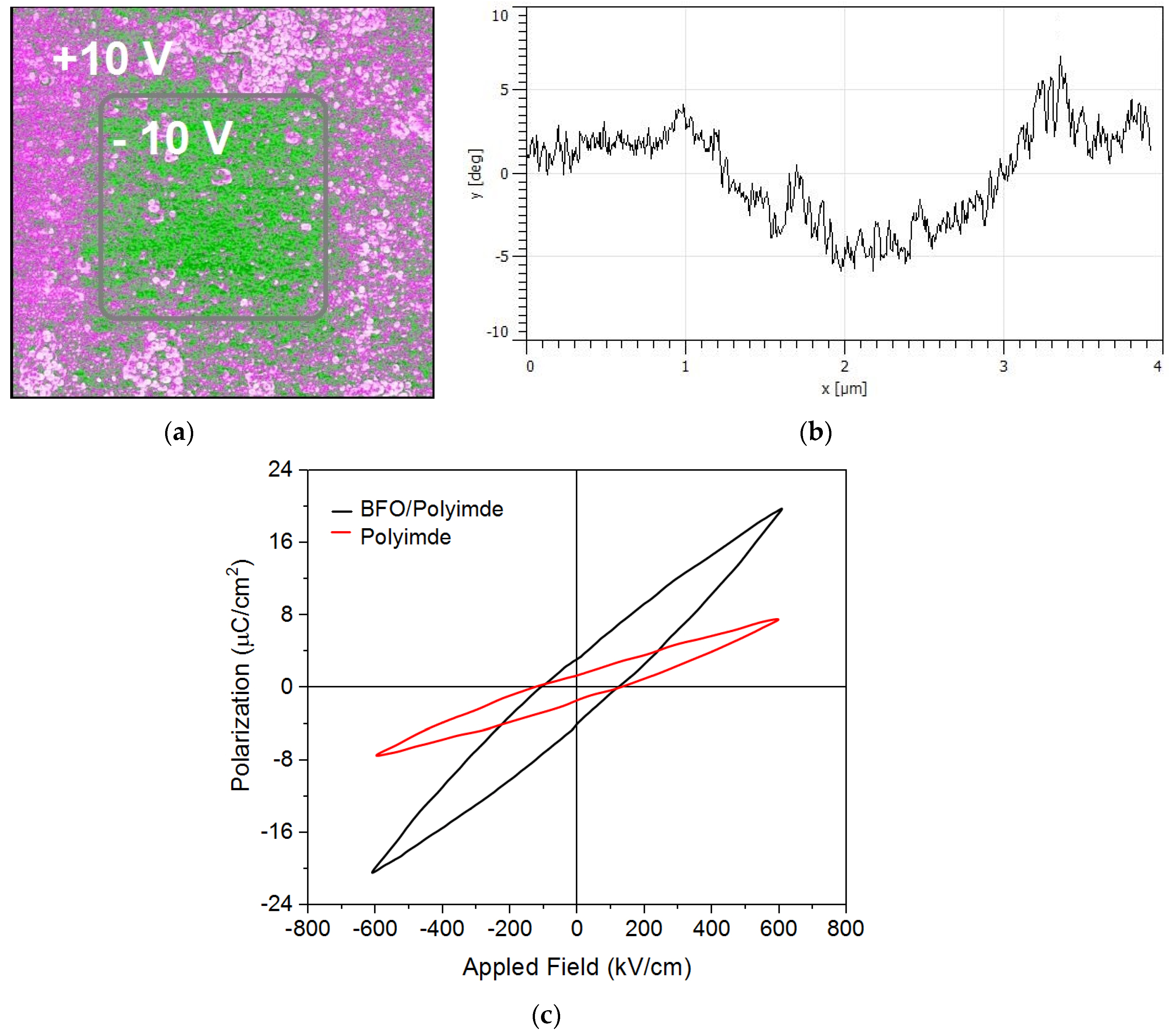 Nanomaterials 13 00139 g007