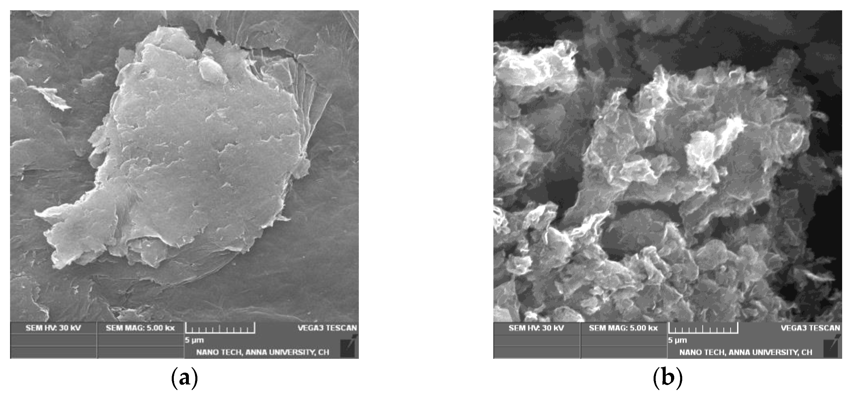 Nanomaterials 13 00149 g002