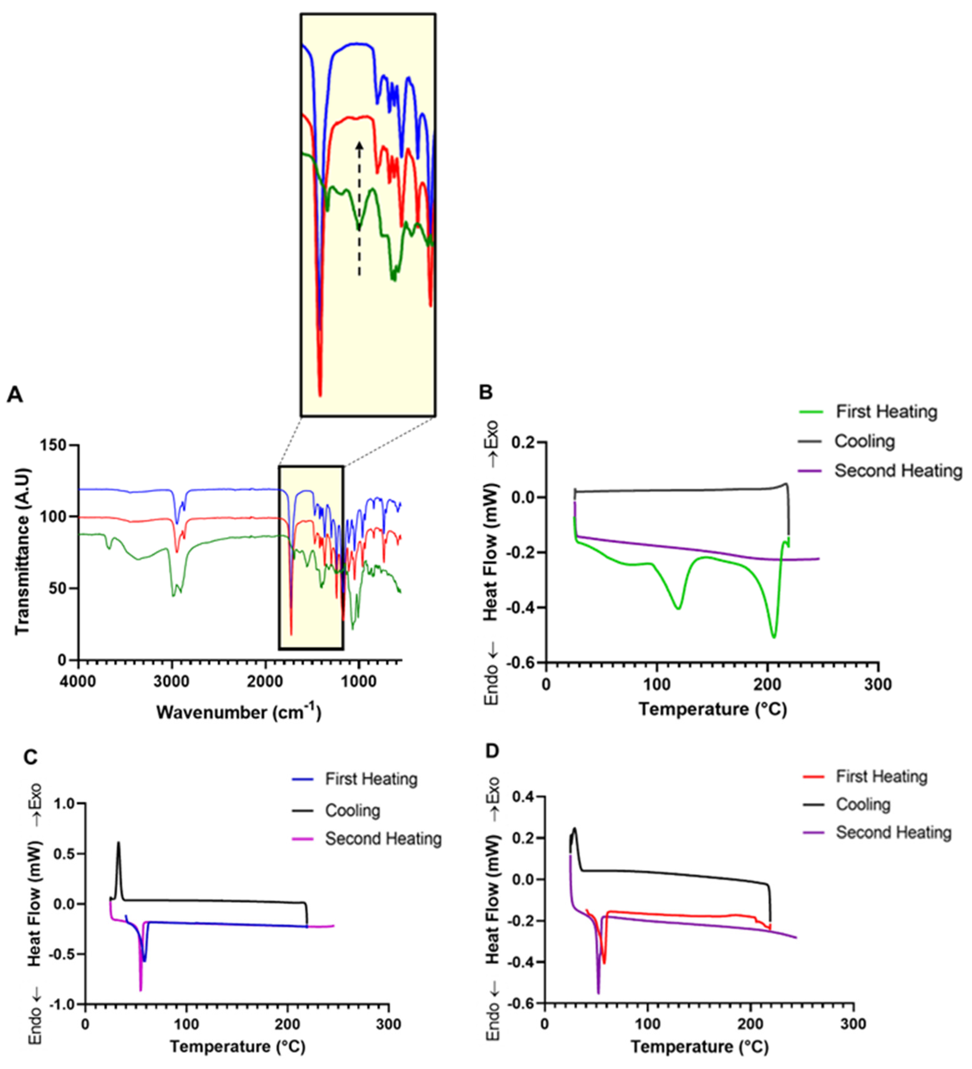 Nanomaterials 13 00155 g003