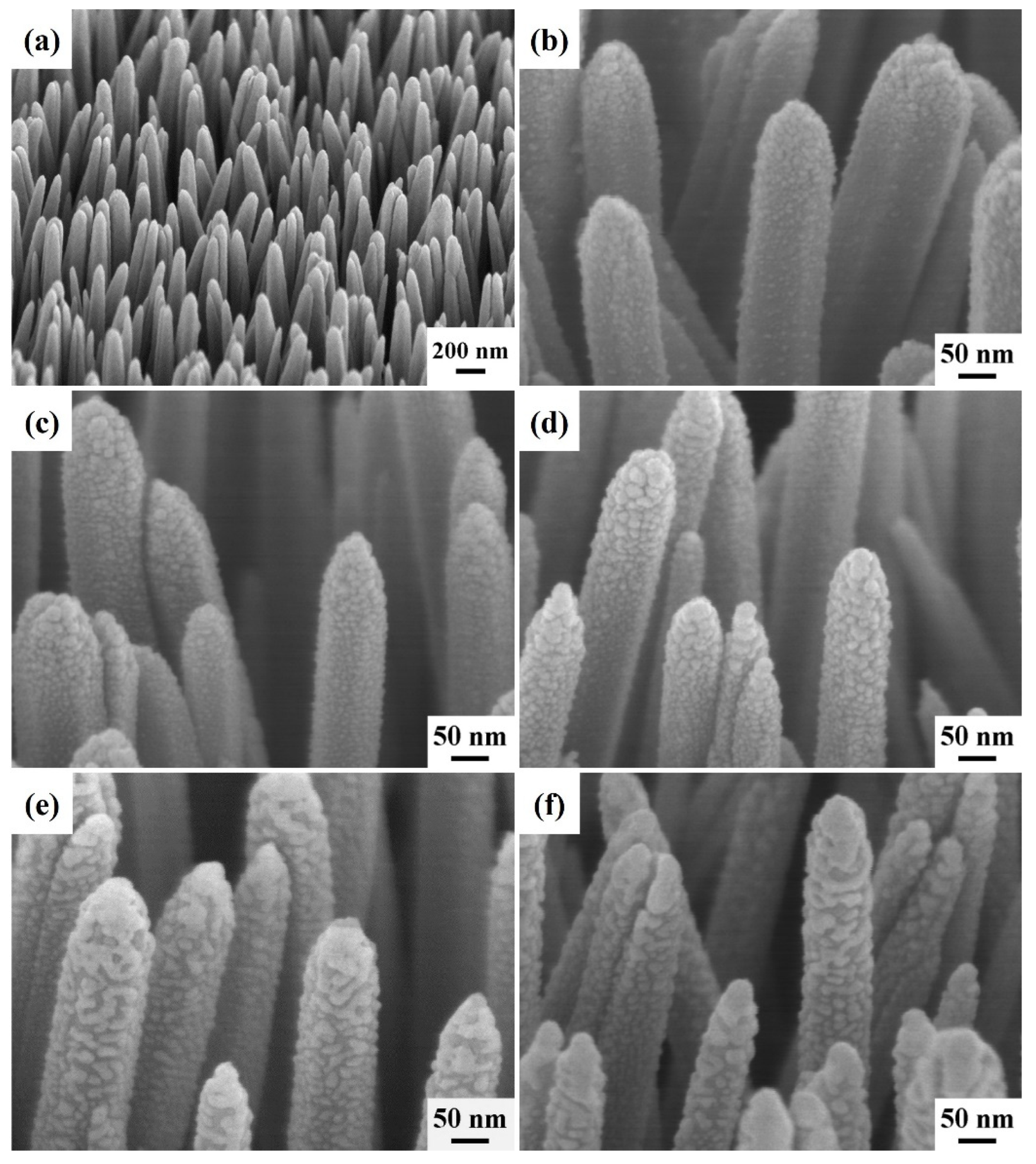 Nanomaterials 13 00163 g002