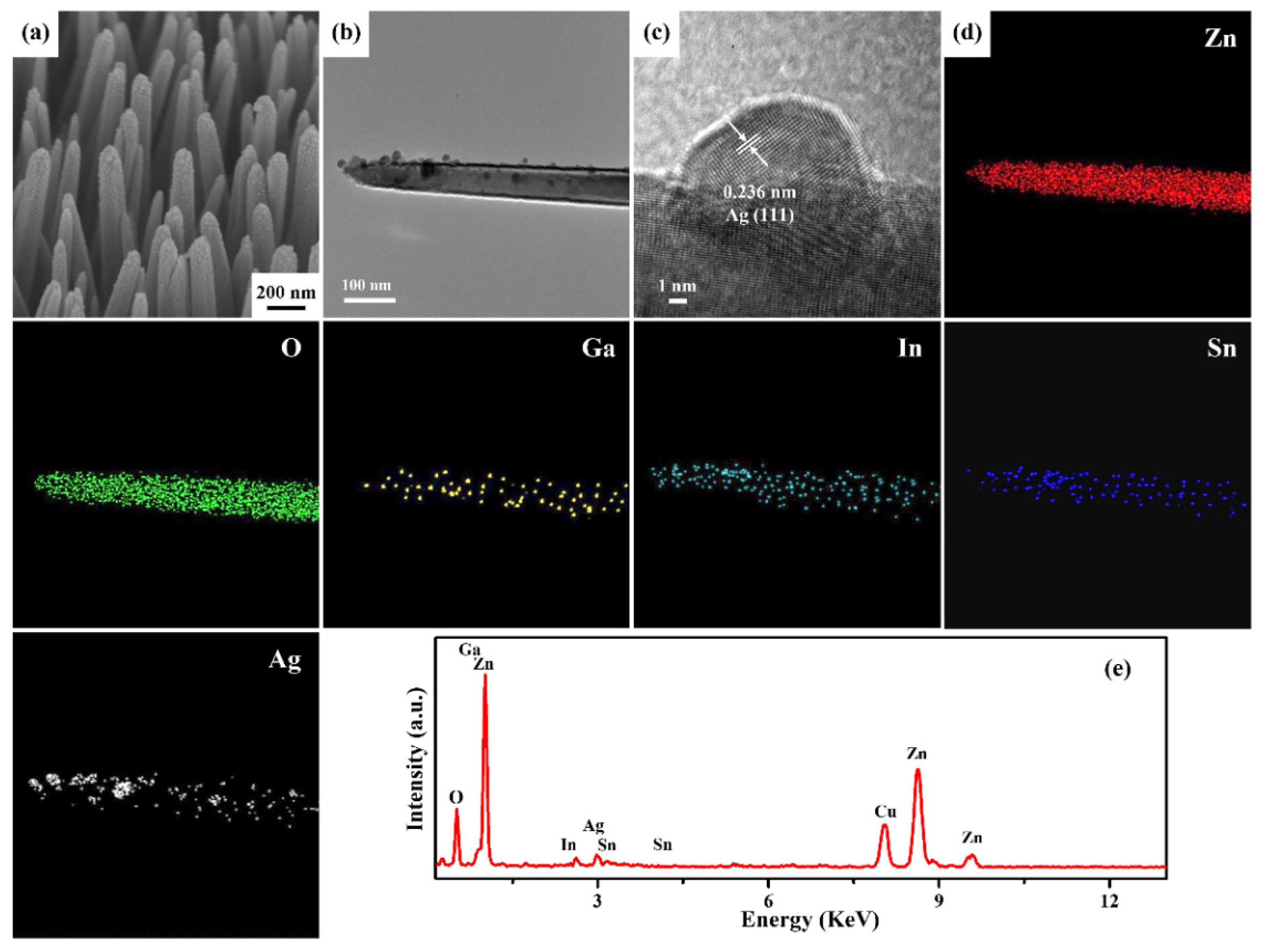Nanomaterials 13 00163 g005