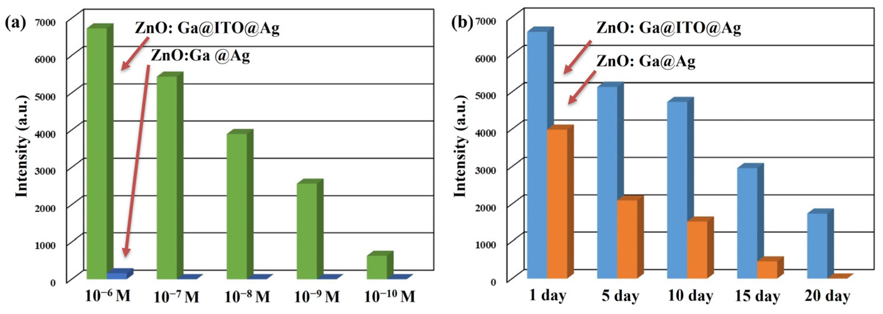Nanomaterials 13 00163 g010