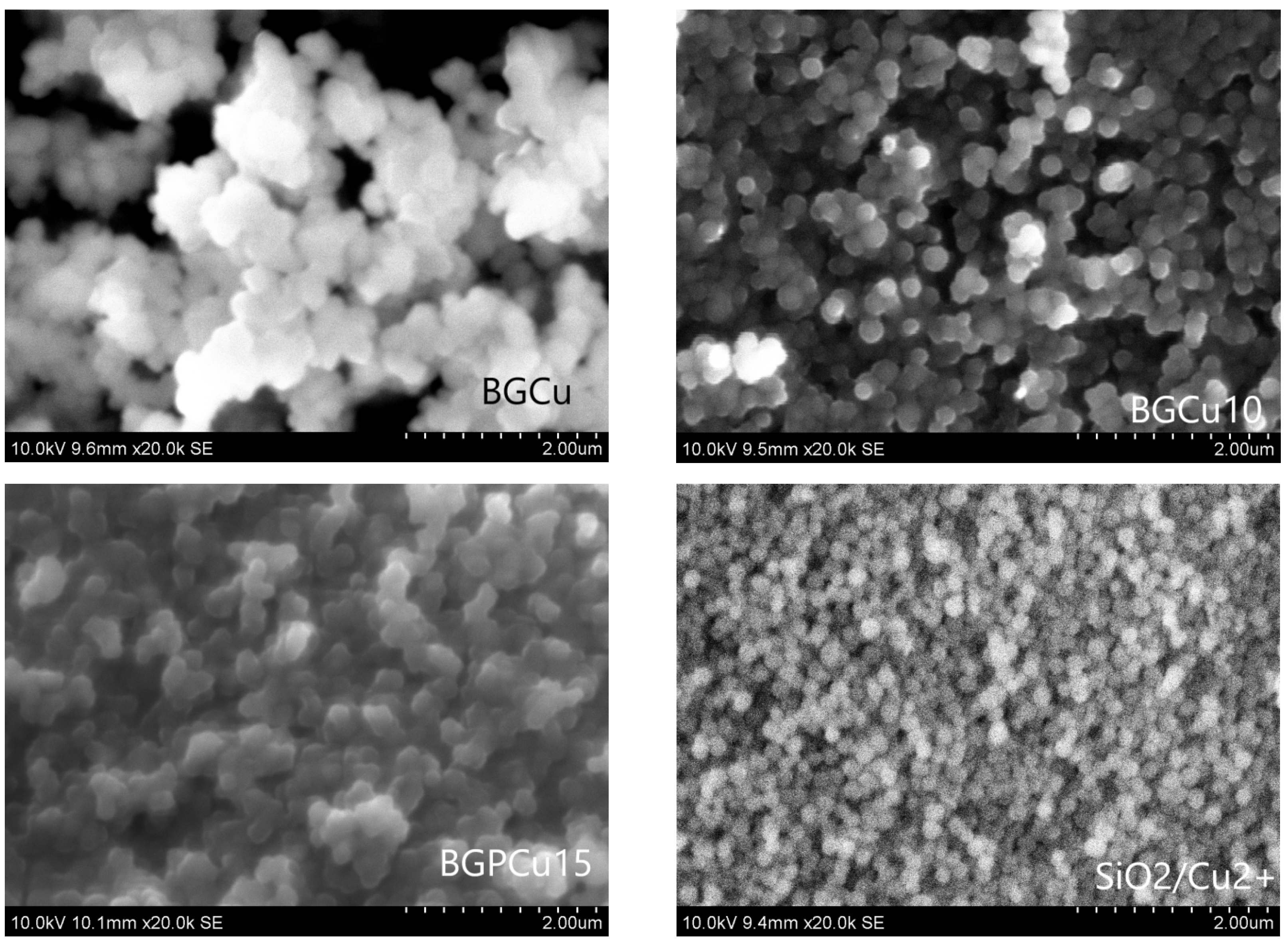 Nanomaterials 13 00165 g001 Nanomaterials 13 00165 g001