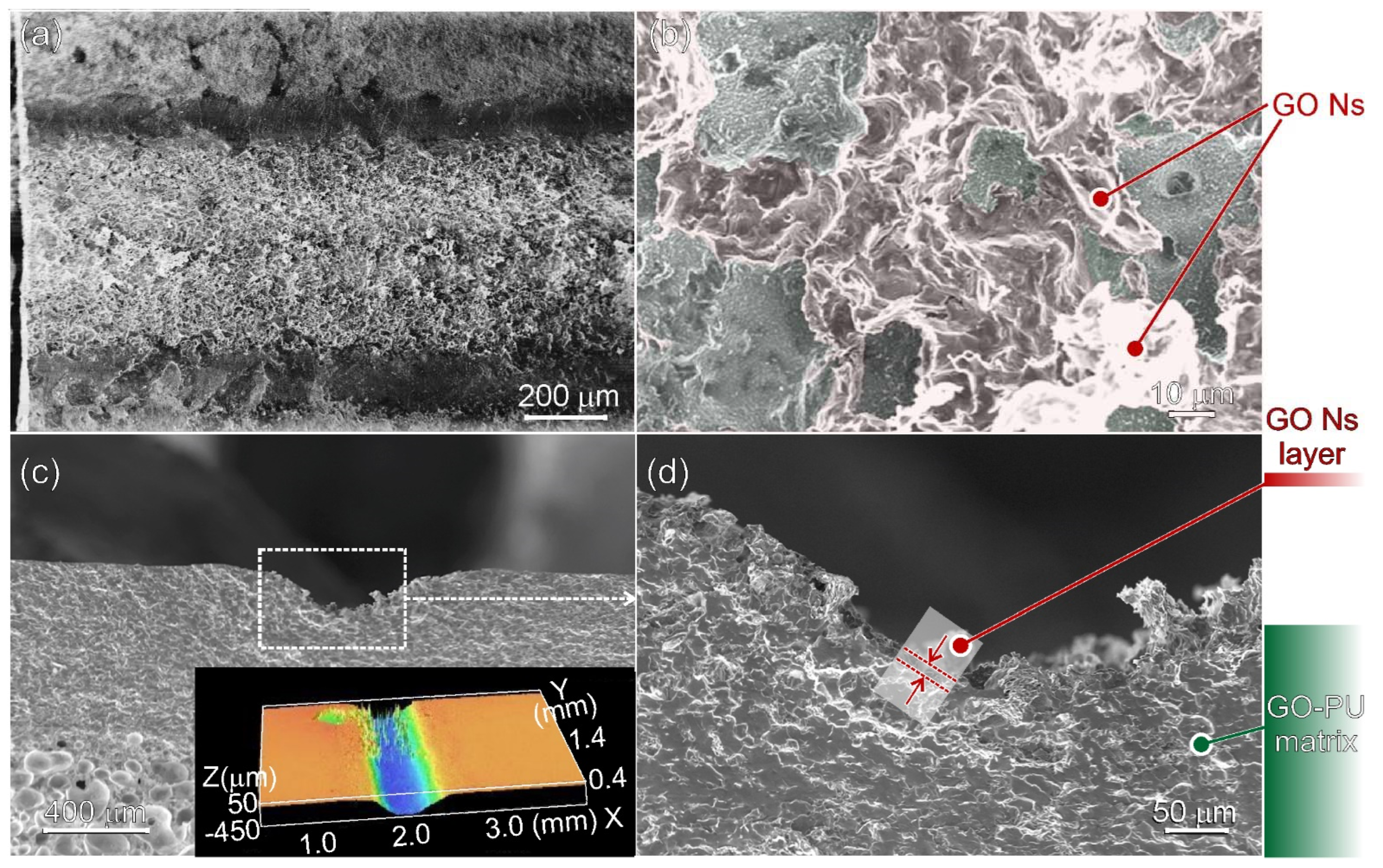 Nanomaterials 13 00168 g004
