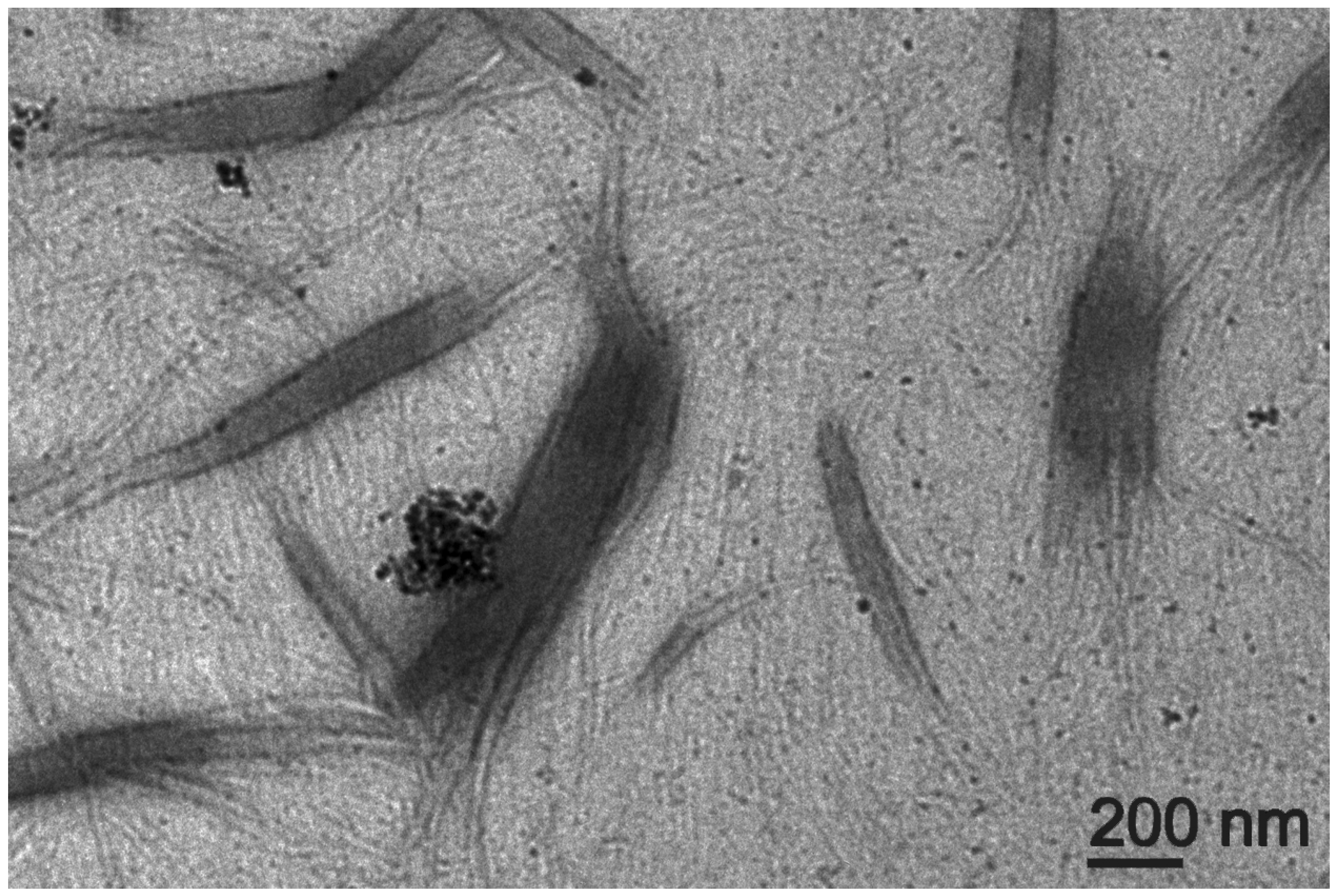 Nanomaterials 13 00172 g010 Nanomaterials 13 00172 g010