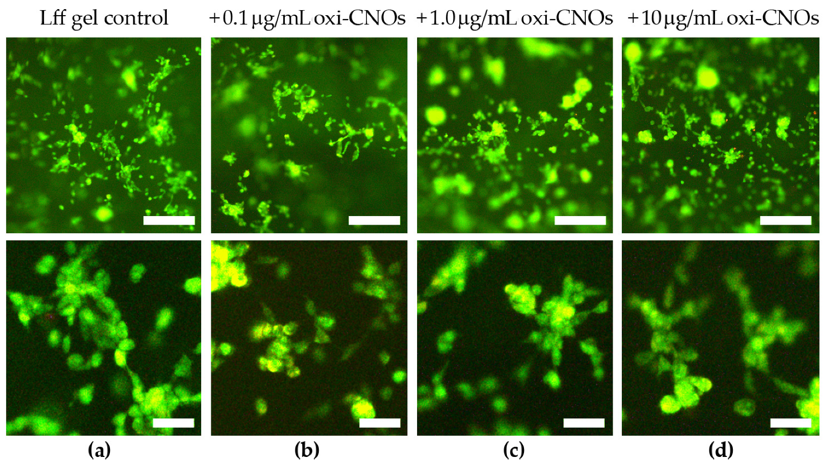 Nanomaterials 13 00172 g011 Nanomaterials 13 00172 g011