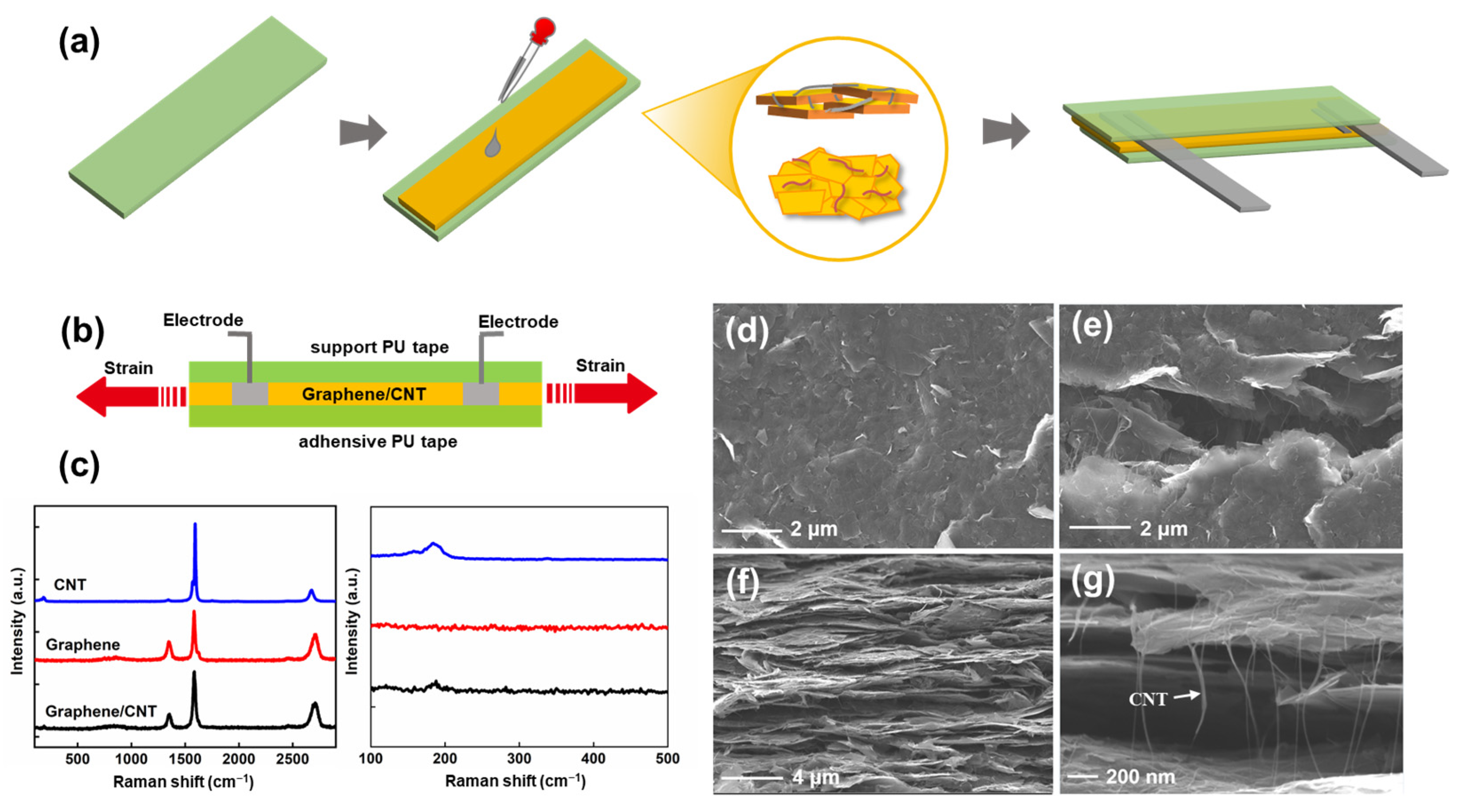 Nanomaterials 13 00179 g001