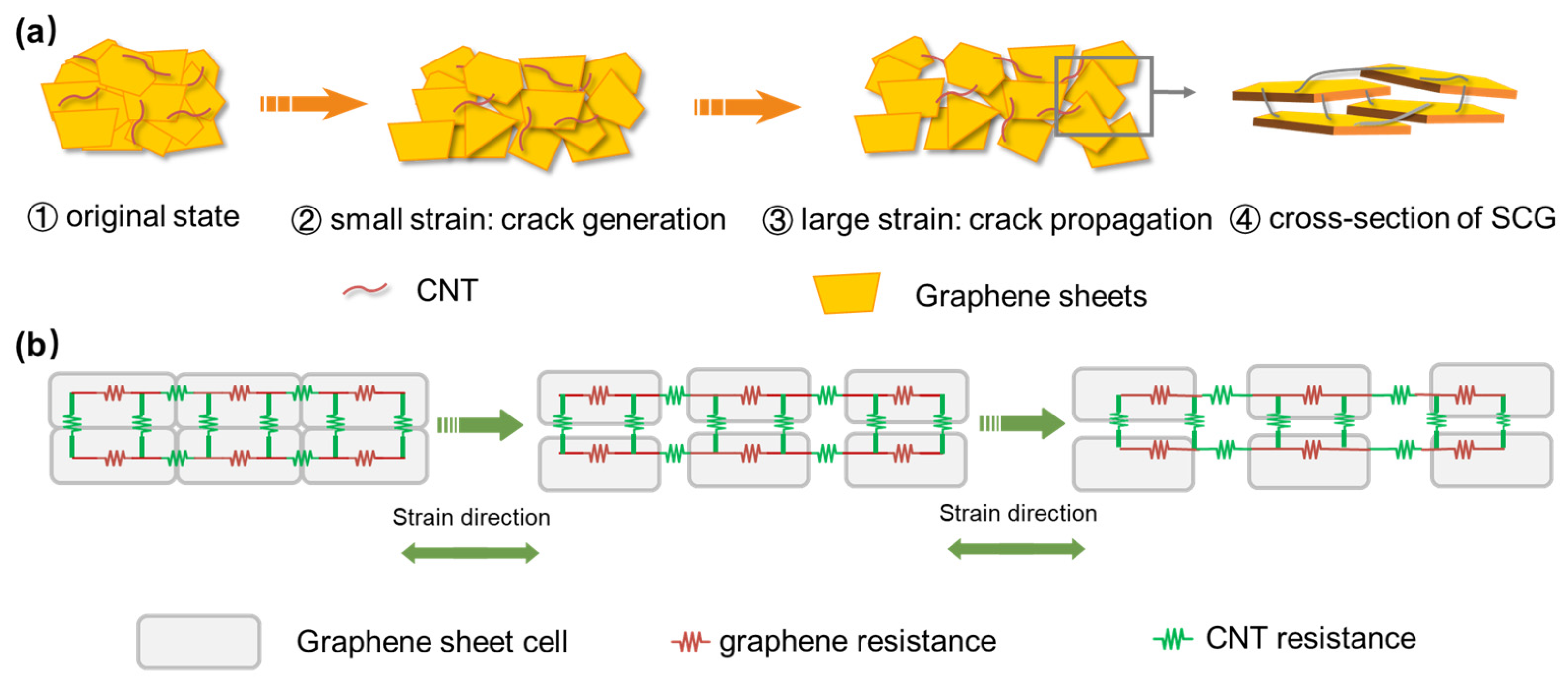 Nanomaterials 13 00179 g003