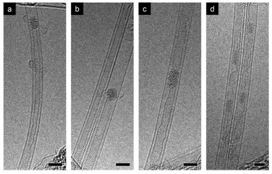Research Progress of Topological Quantum Materials: From