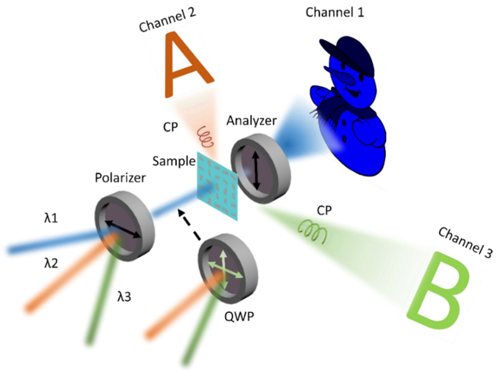 Nanomaterials 13 00183 g001