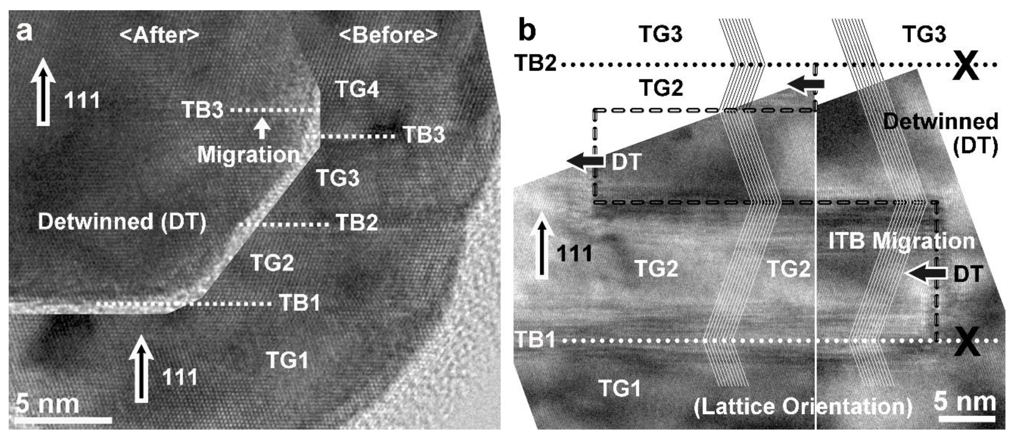 Nanomaterials 13 00190 g005 Nanomaterials 13 00190 g005