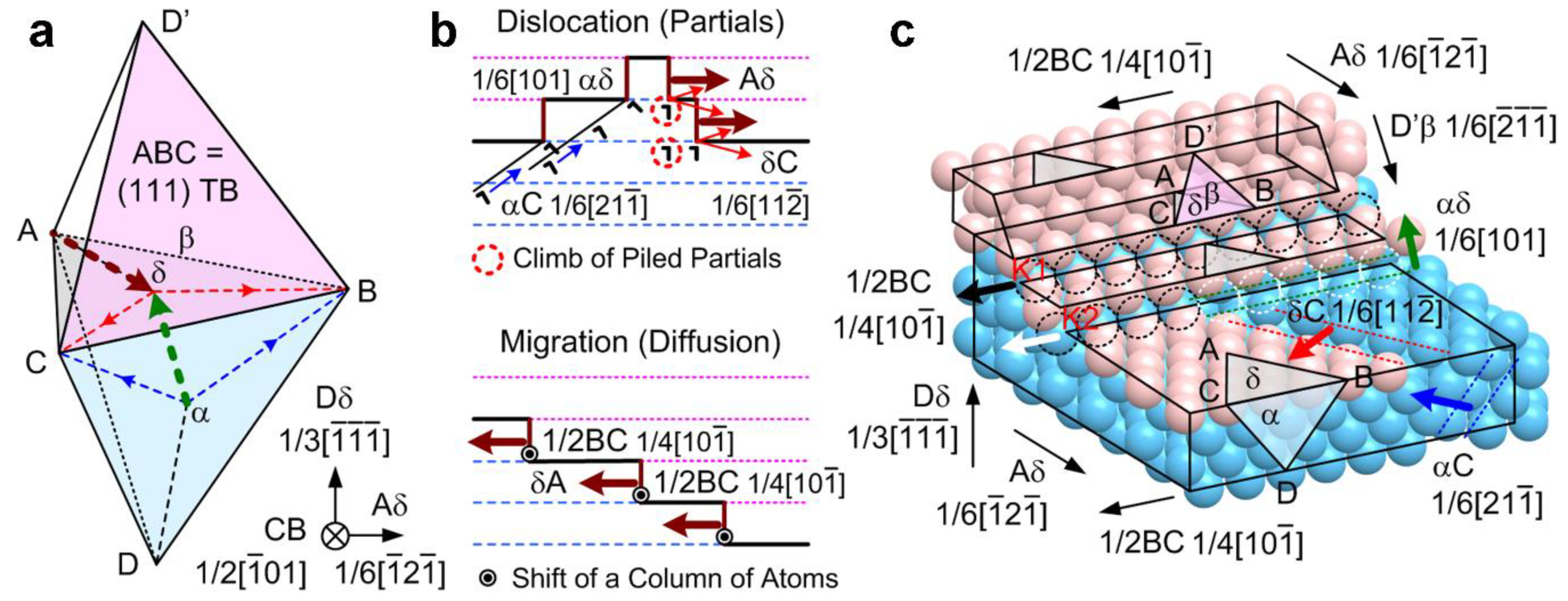 Nanomaterials 13 00190 g007 Nanomaterials 13 00190 g007