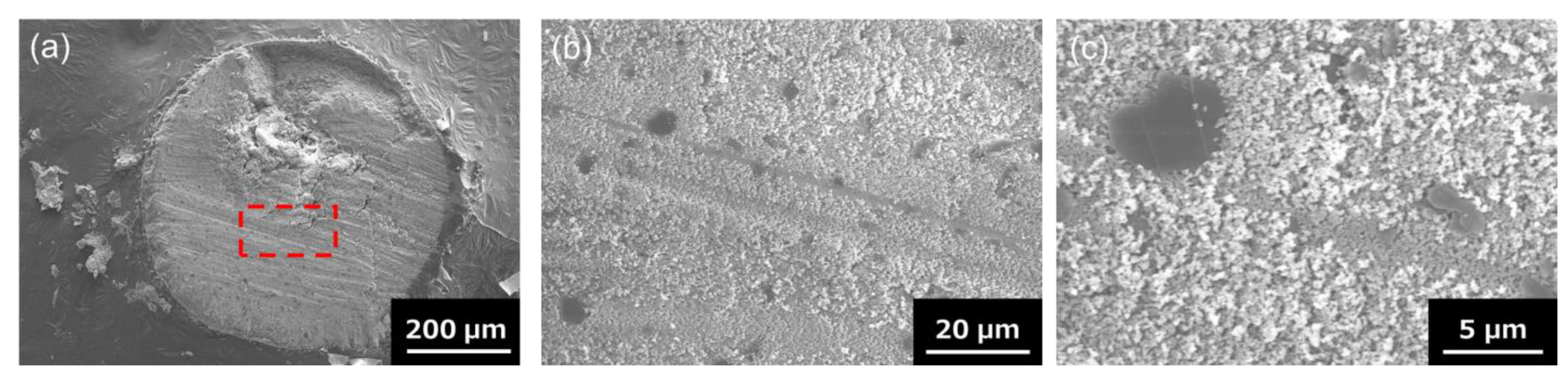 Nanomaterials 13 00199 g003