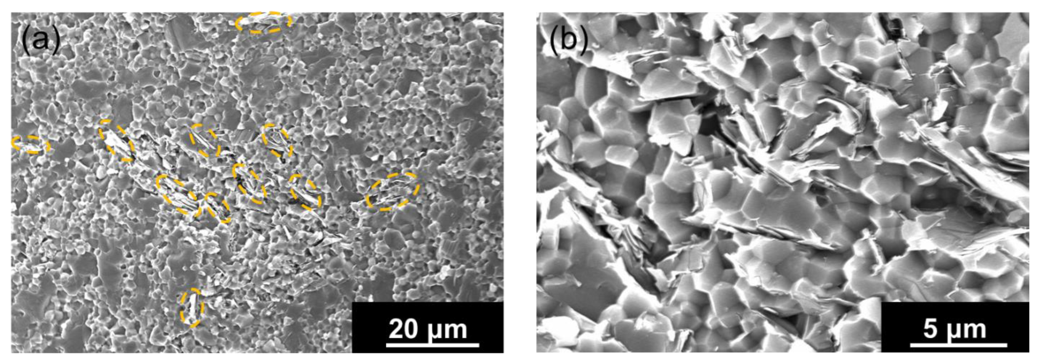 Nanomaterials 13 00199 g005