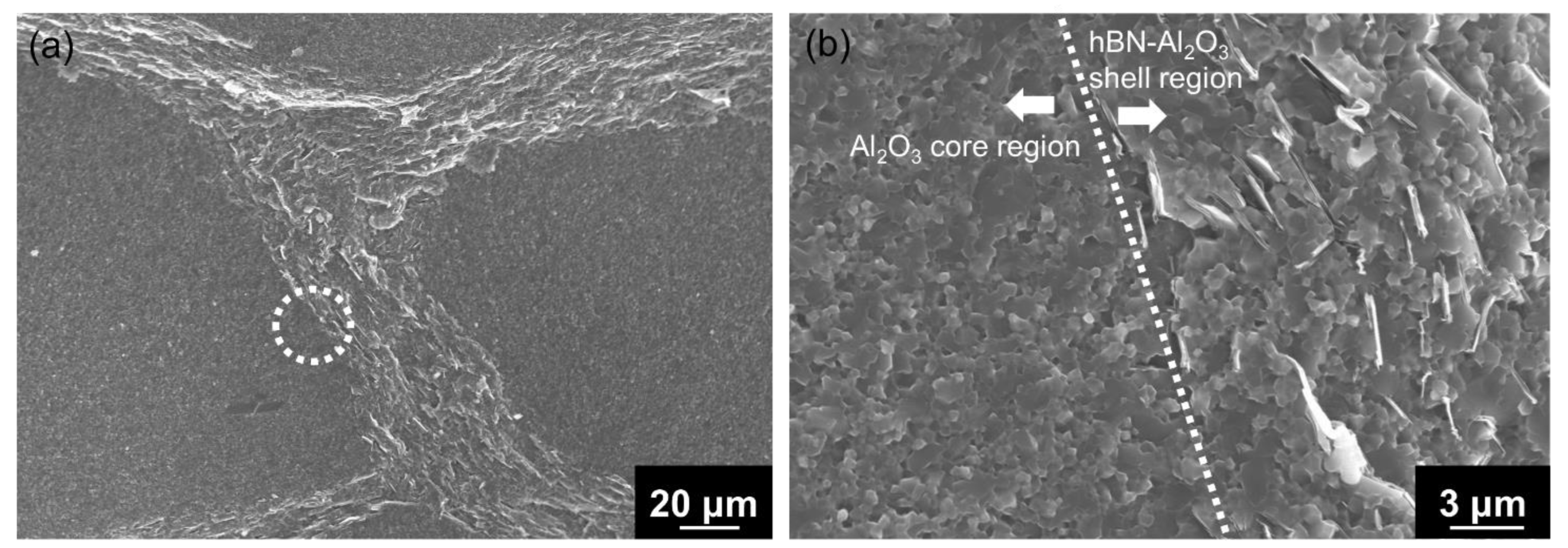 Nanomaterials 13 00199 g007